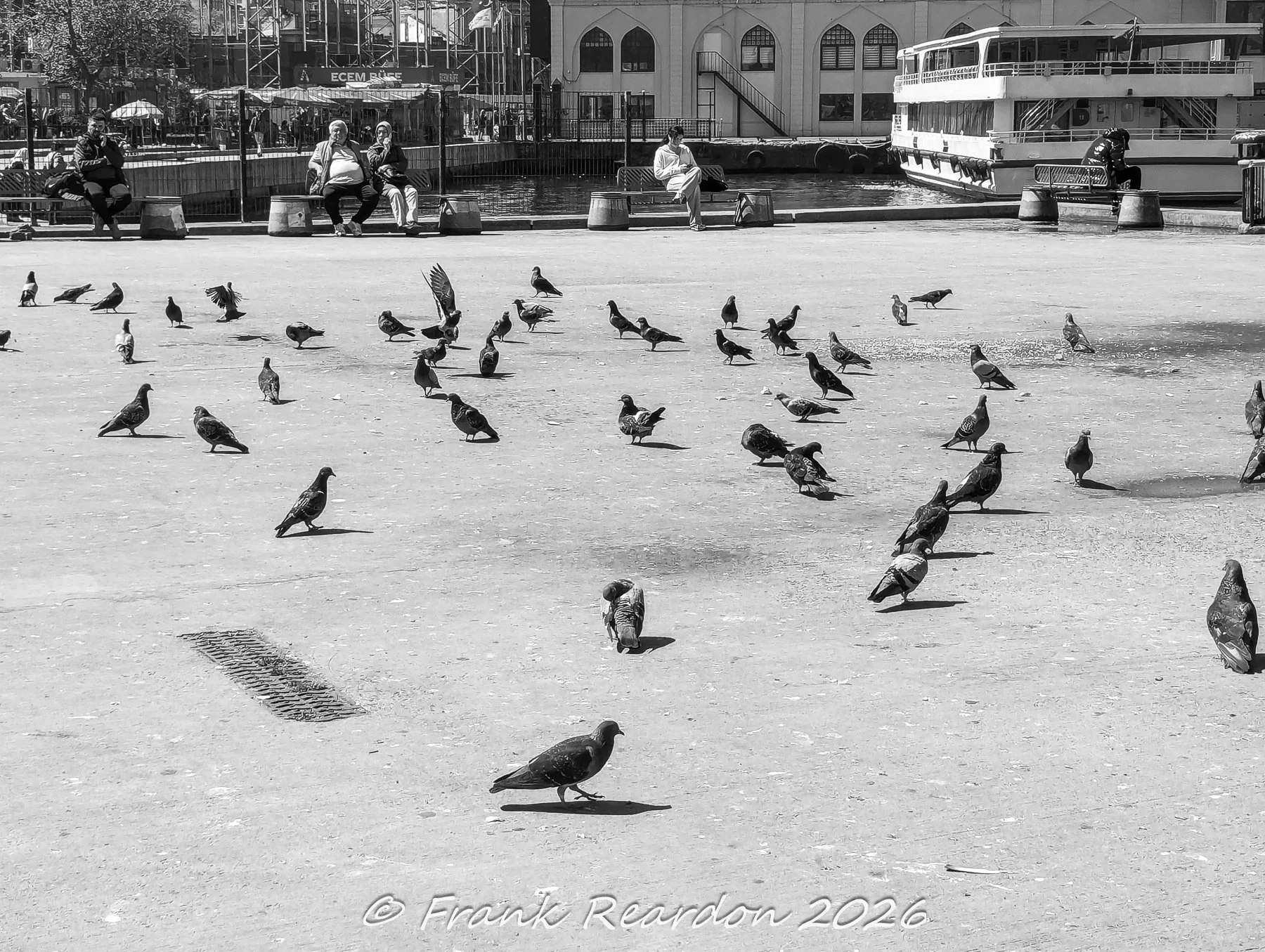 A high-contrast, black-and-white photograph of a large flock of pigeons scattered across a paved public square near the waterfront, with people sitting on benches in the background.