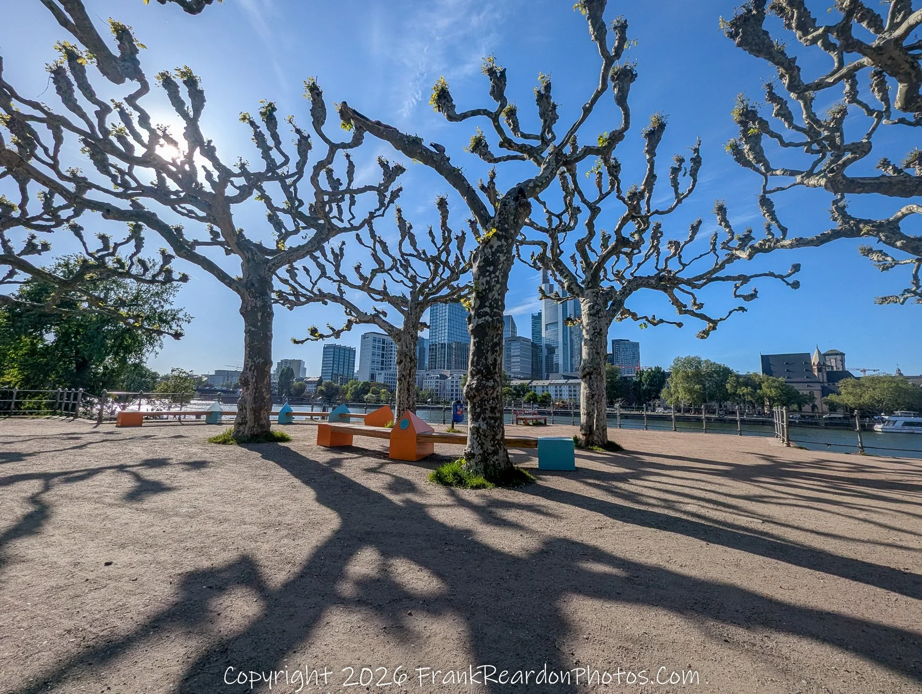 Riverside Trees Framing Frankfurt Skyline
“Framing the Skyline – Nature and City in Balance”