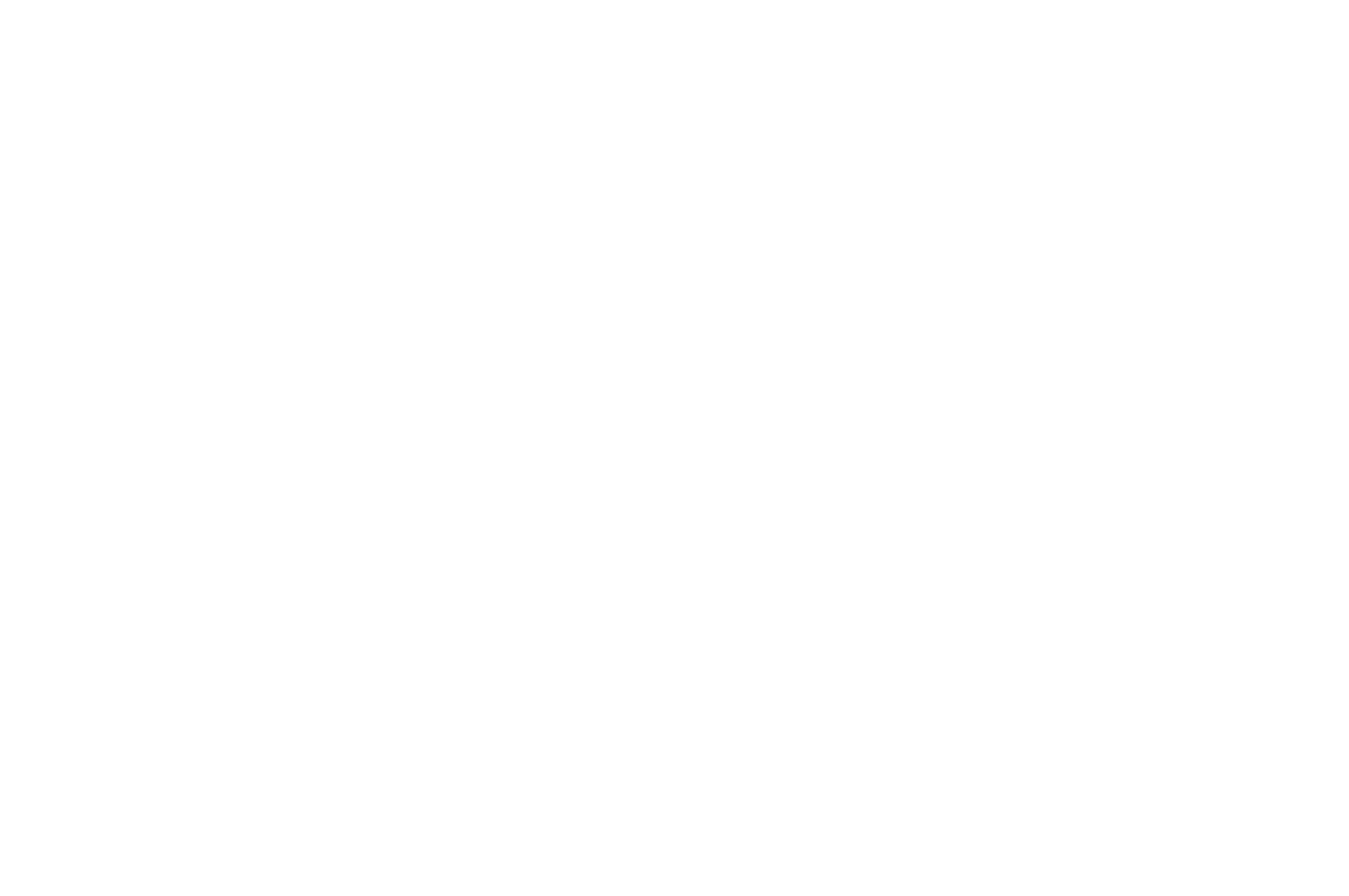 Essential Self Reiki + Intuitive Wellness