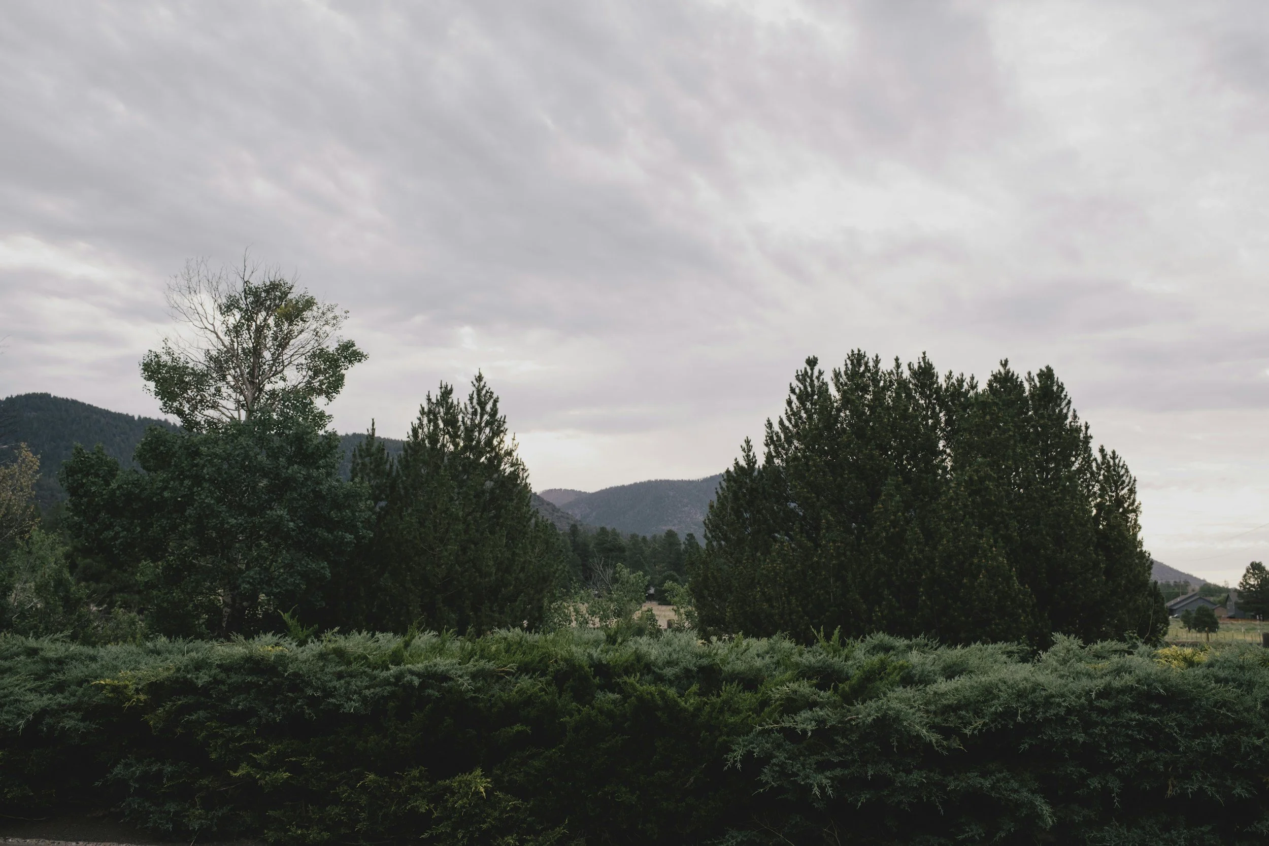 Dust, Pollen, Pets, and Elevation