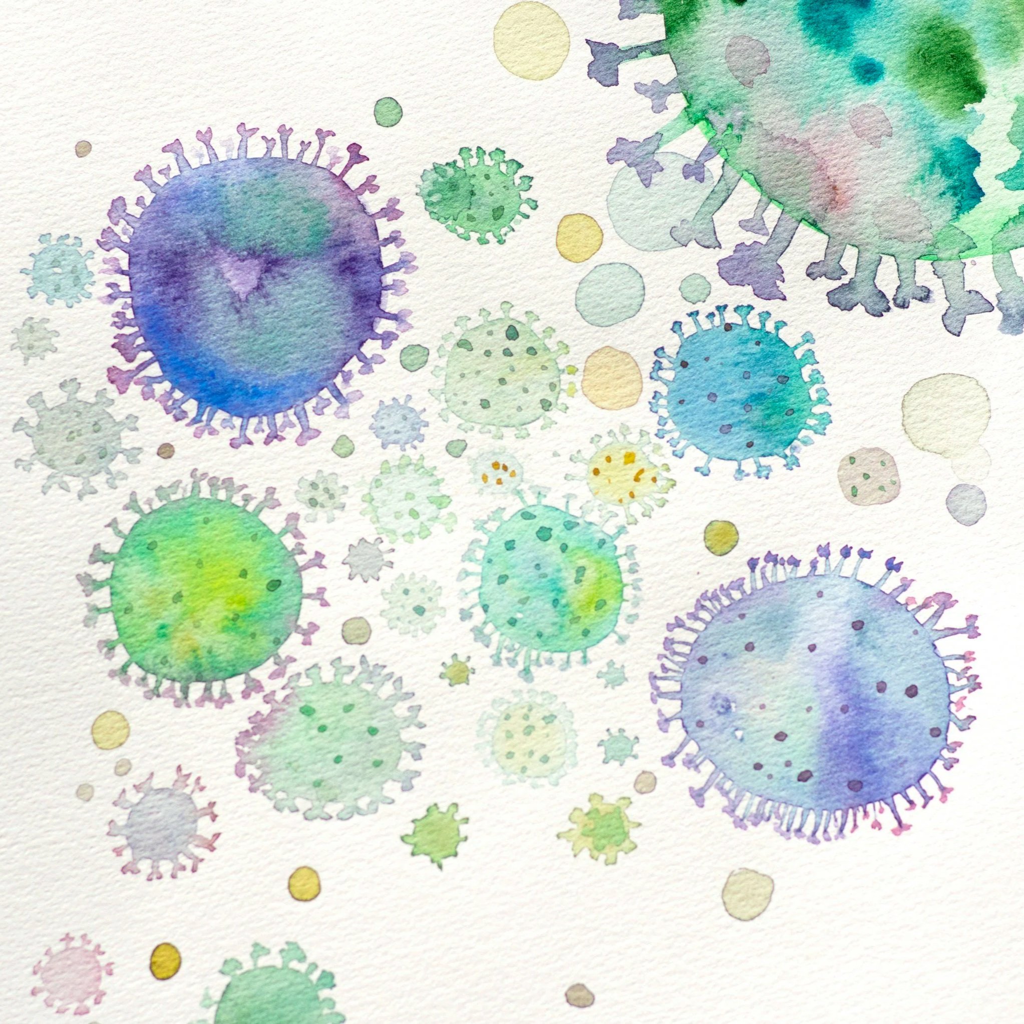 The Hidden Germ Hotspots in Your Home (And How to Actually Clean Them!)