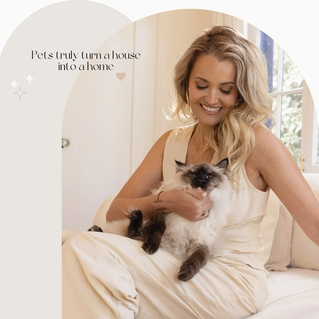 Tiny fluff, big heart&mdash;just like finding the perfect home! Pets truly turn a #house into a #home. Who&rsquo;s your furry housemate?
#homedecorinspiration #beautifulhomesofinstagram 

📸 @olivierchatard