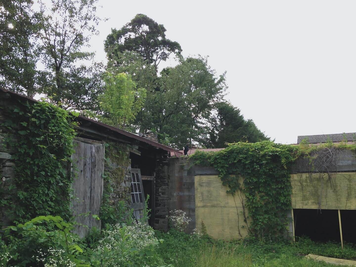 Evolution of a veggie garden. 👨&zwj;🌾
.
.
.

Grateful for clients who preserve ruins and let us re-use materials otherwise destined for the dump! Great hard work over the years by the clients, horticulturalist-doctor-farmer Denis Lucey, and the Leo