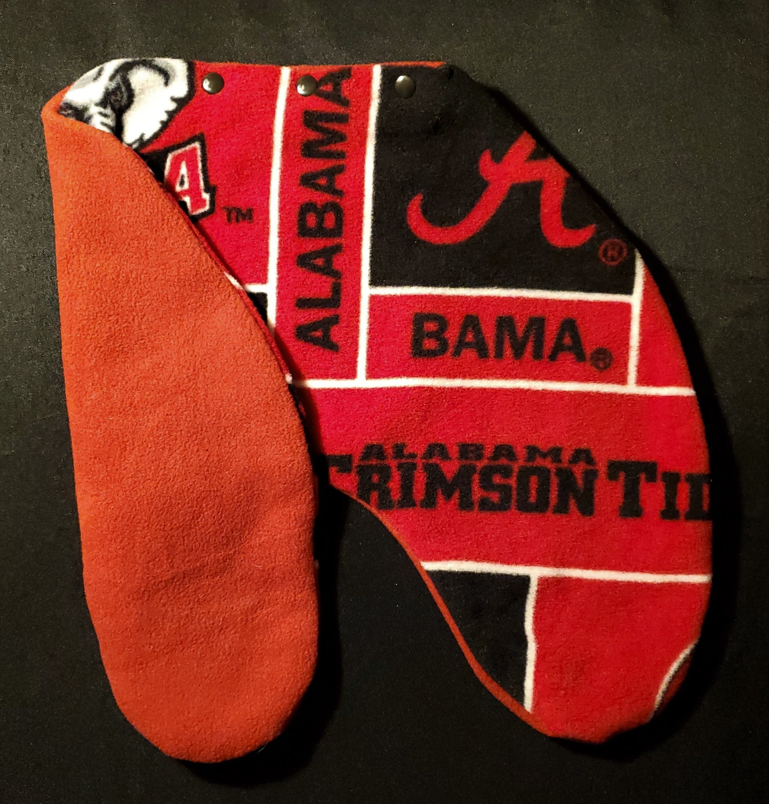 cover - Alabama with red back.jpg
