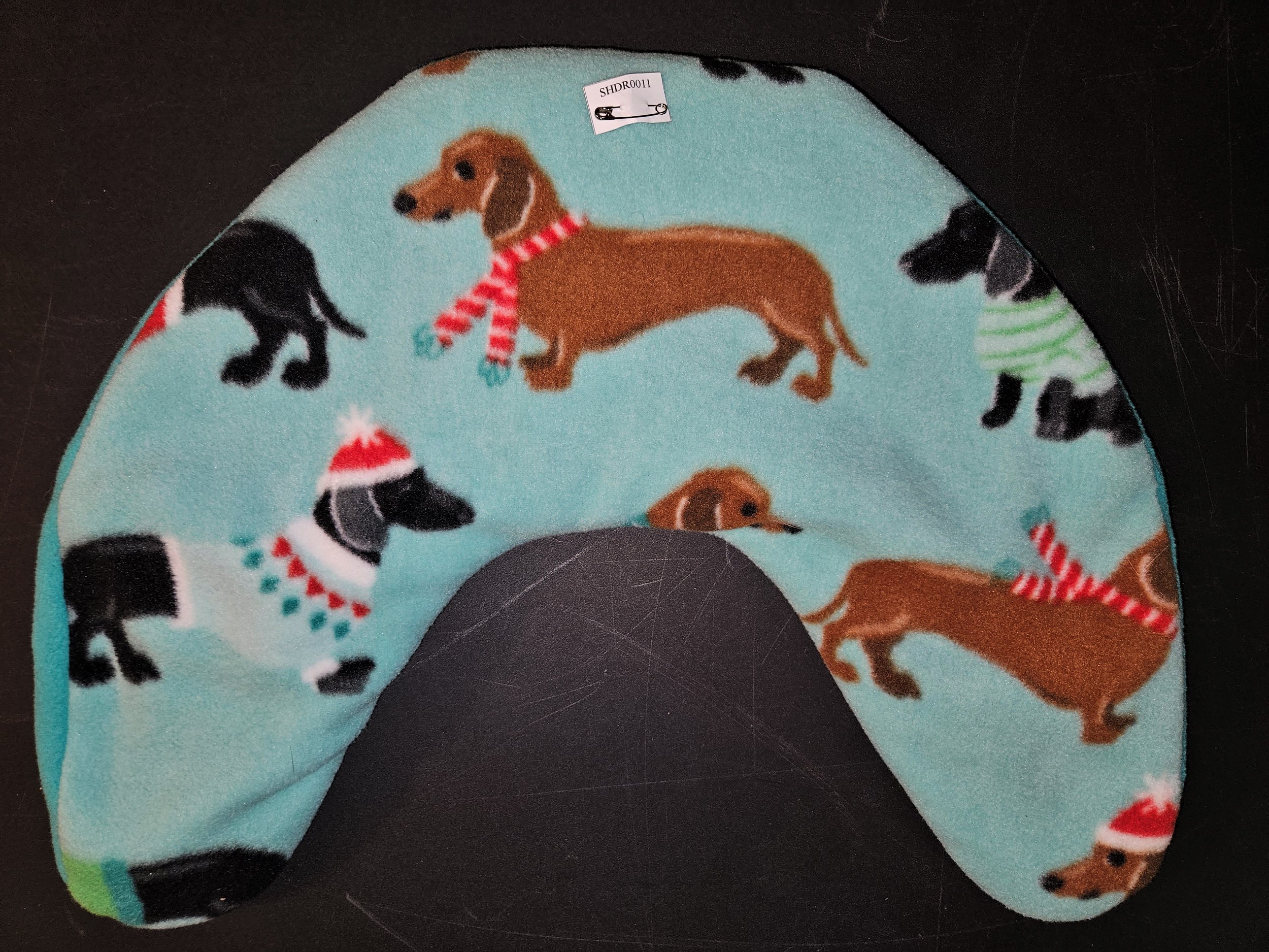 Dachshund with sweaters.jpg