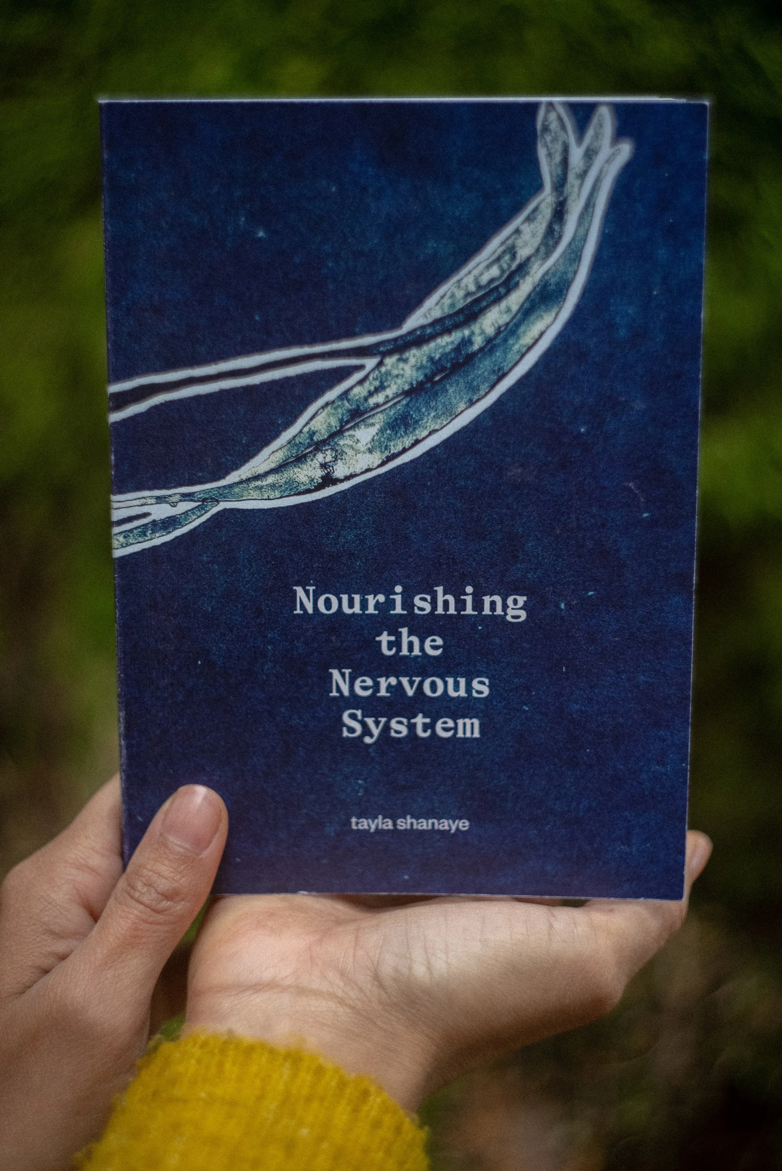 Nourishing the Nervous System