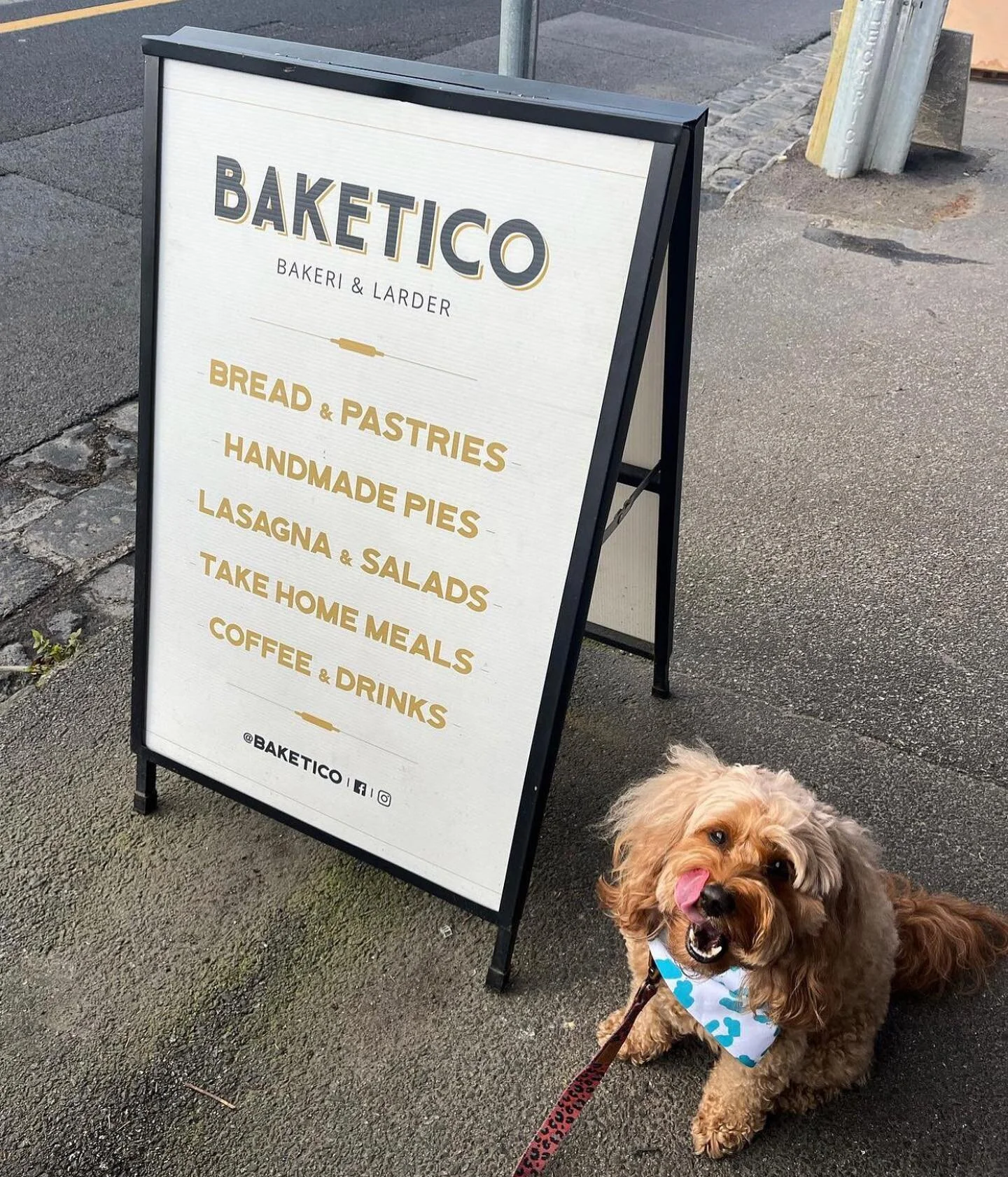 Our cute furry friend @pawfect_pebbles loved our crunchy treat! It&rsquo;s a beautiful day, enjoy everyone and come by for a snack with your four legged friends anytime.
