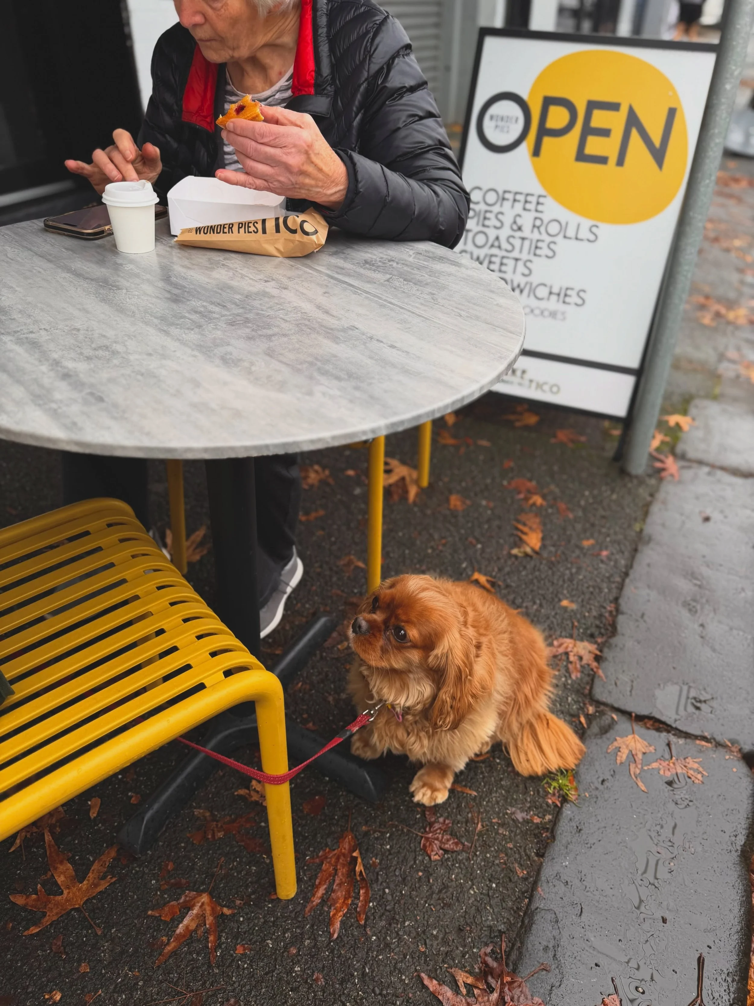 After a rainy weekend, the sun is finally shining on our Monday ☀️

Nothing like a fresh start with a good coffee, something delicious, and a little sunshine to make the day better. 

Stop by Baketico, ease into the week, and let&rsquo;s make it a be