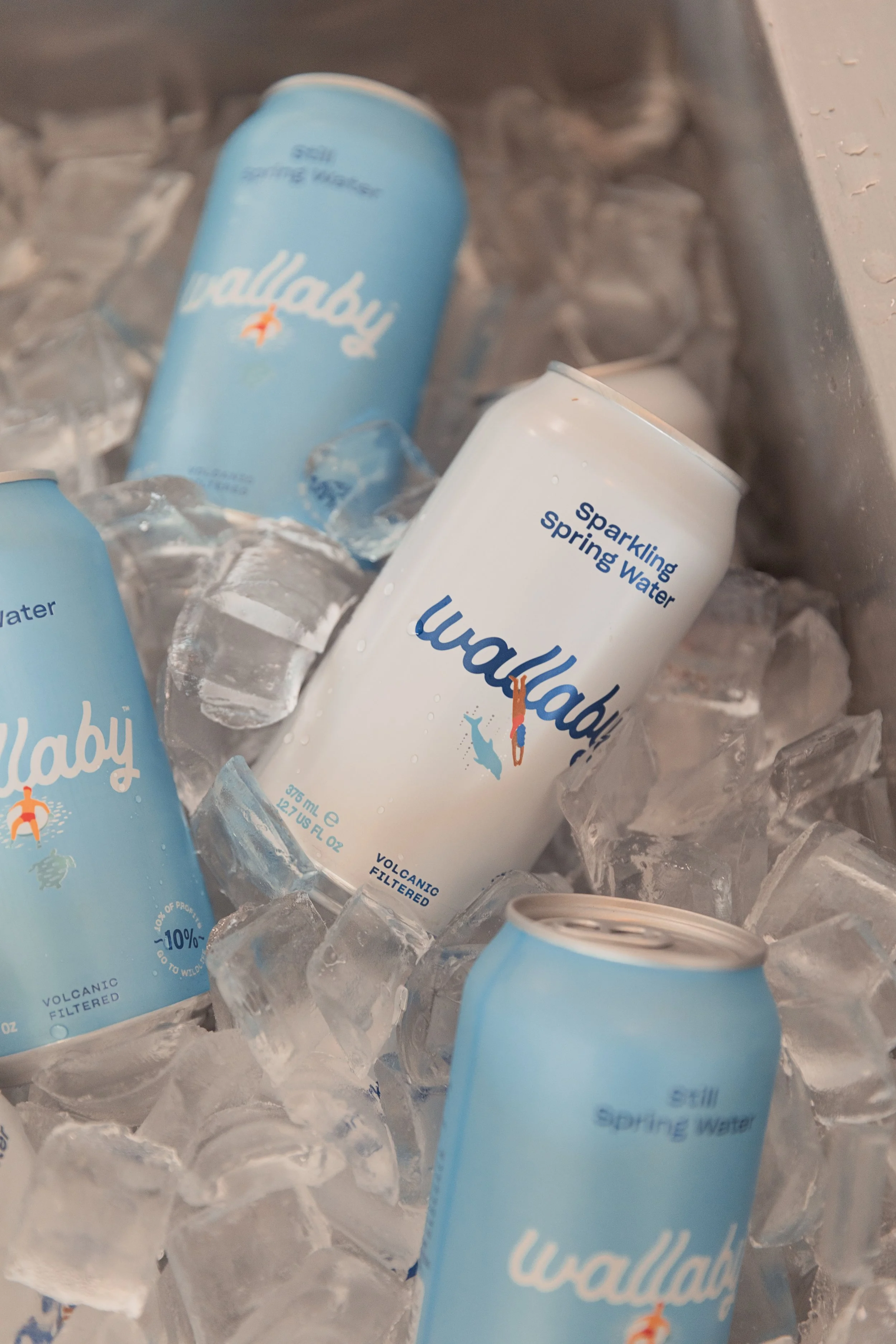 375ml Sparkling Water Cans