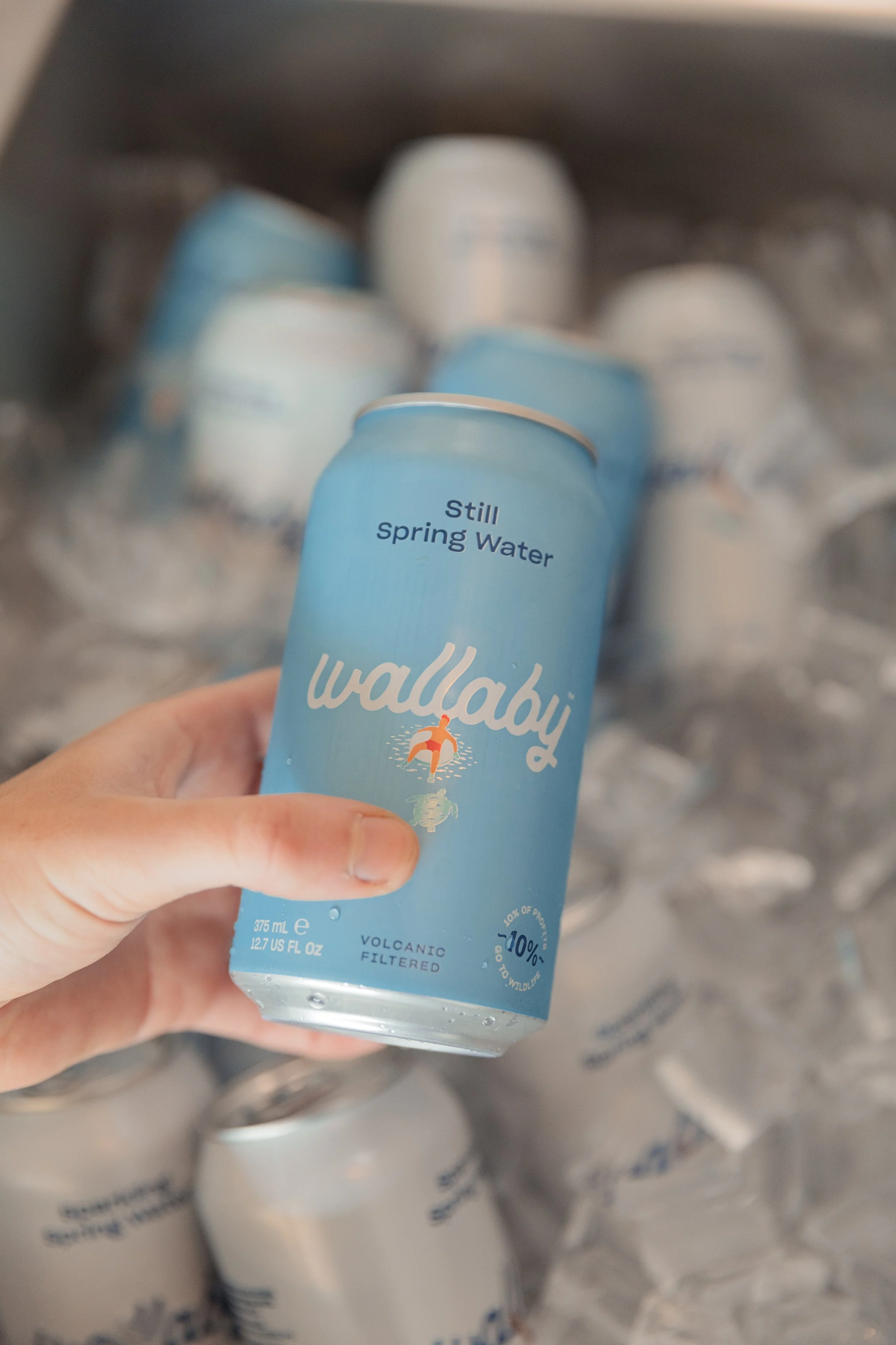 375ml Still Water Cans