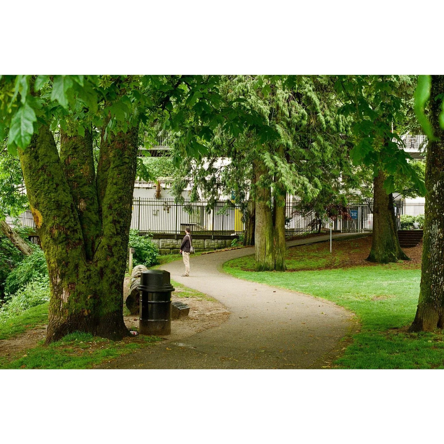 Seriously questioning why I live in LA when BC exists. 

#fuji200 #canona1 #35mm #shootfilm #analogphotography