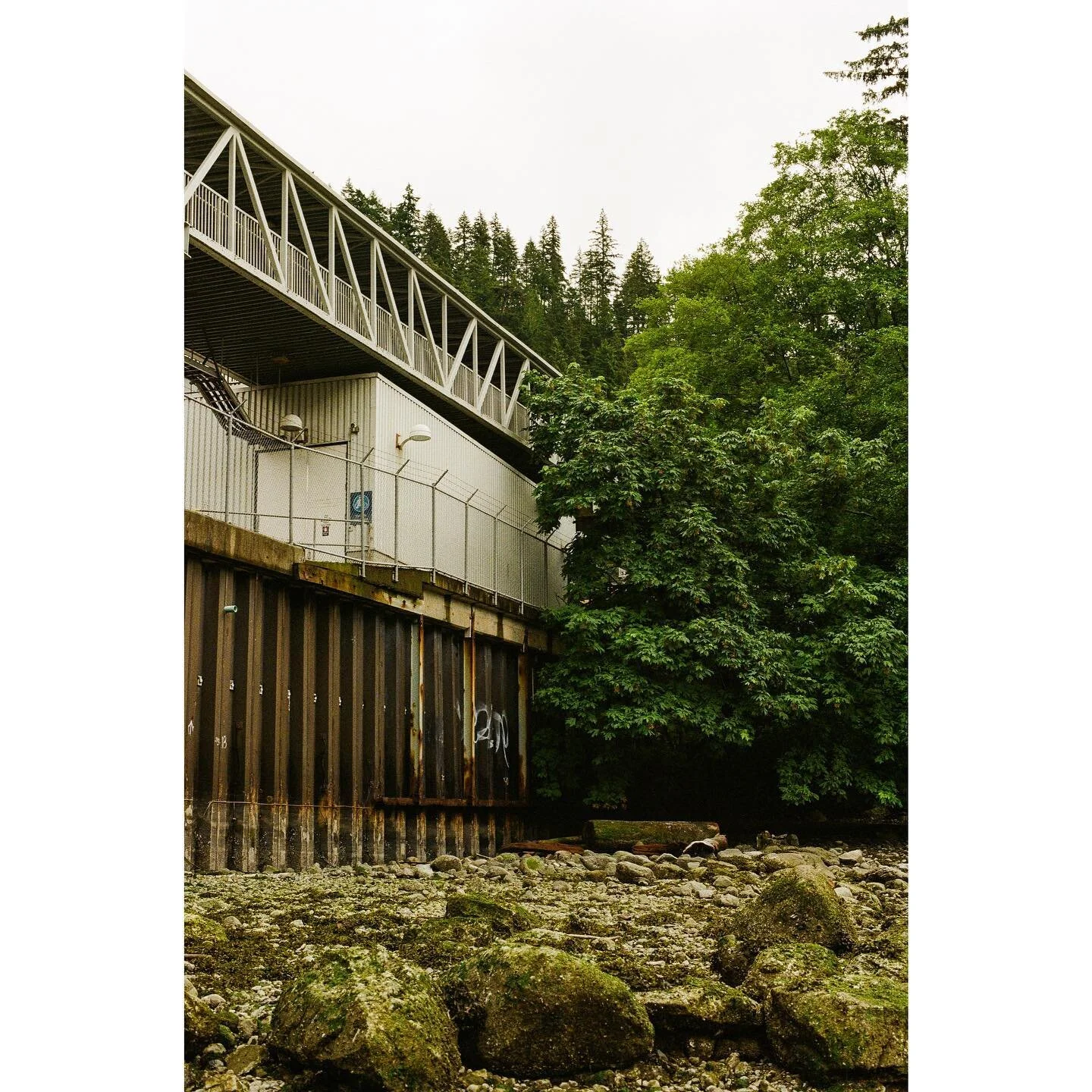 Seriously 😐 

#fuji200 #canona1 #35mm #shootfilm #analogphotography