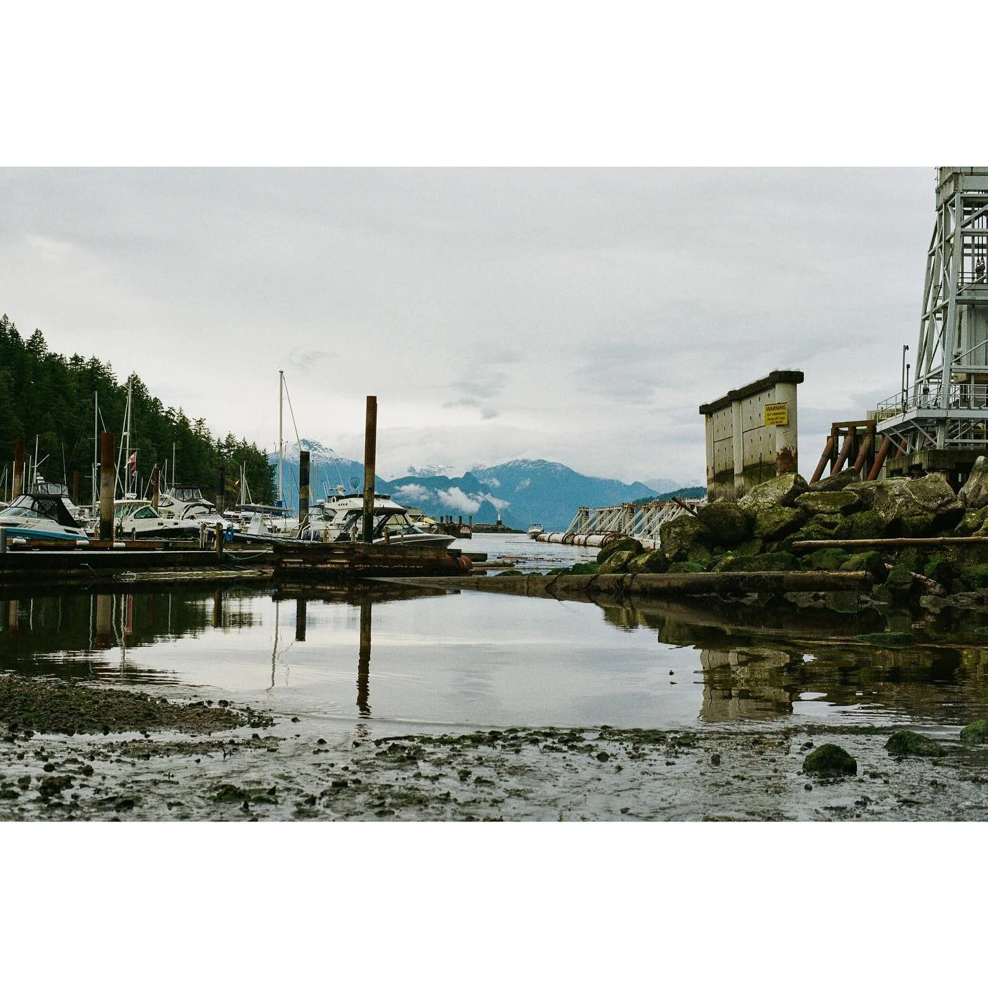 #fuji200 #35mm #shootfilm #analog #canona1 #landscapephotography