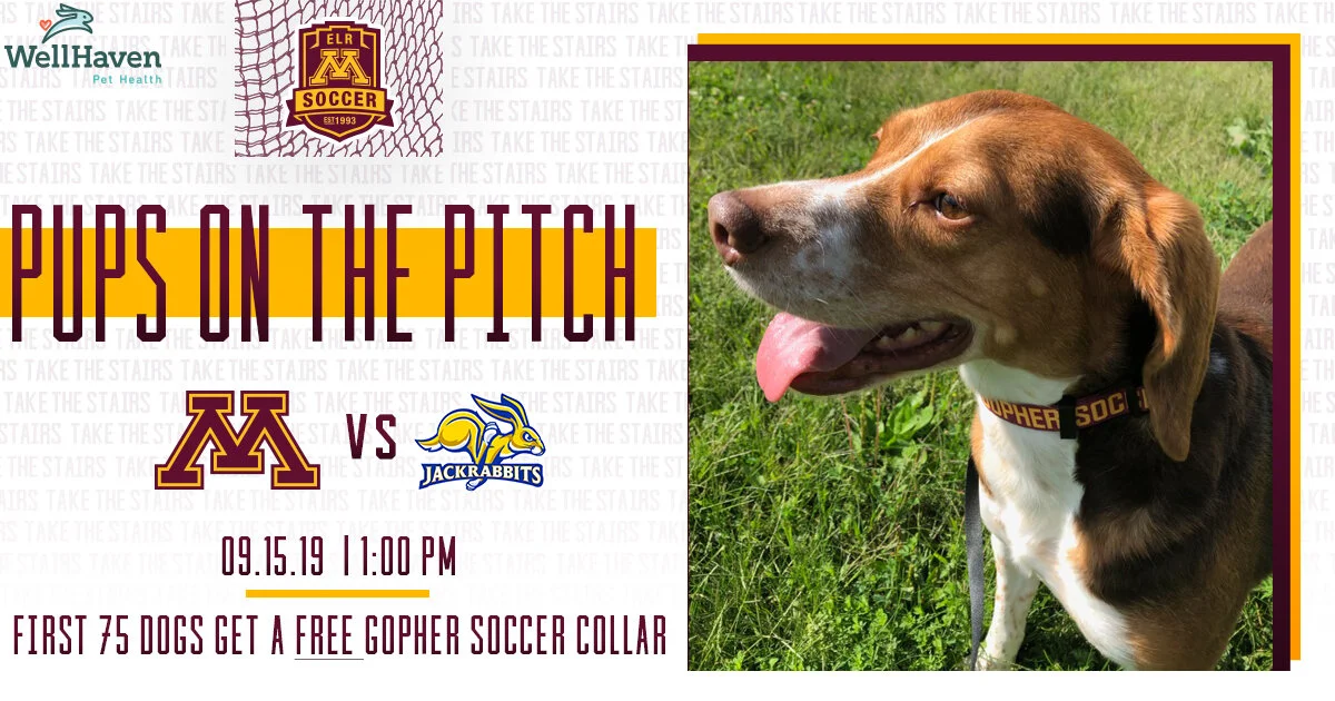 Pups on the Pitch. Collar 9.15.19.jpg