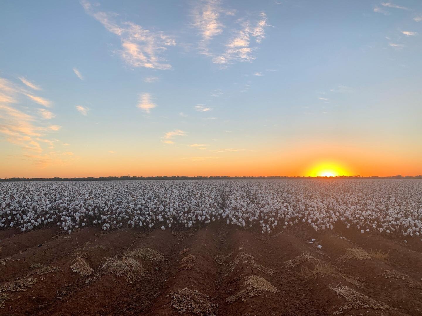 📣 Water announcement 
Murrumbidgee Supplementary now accessible within Murrumbidgee Irrigation district until 15th July with extensions likely. Buyers seeking temporary supplementary

📞 Call Grant to discuss on 0418916031