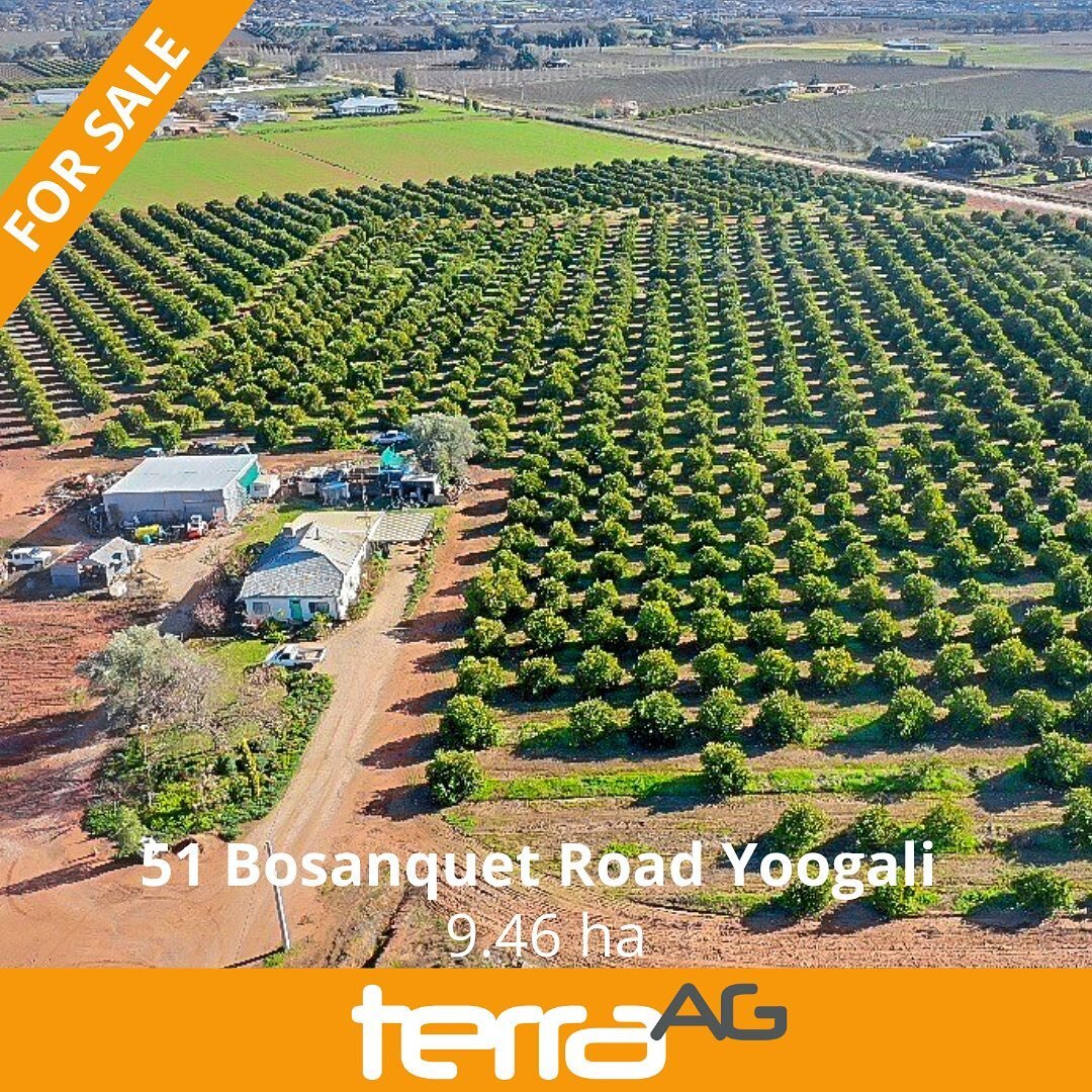 FOR SALE: 51 Bosanquet Road Yoogali 

Rural lifestyle on Duel tile, in the doorstep of town

📞 Contact Grant on 0418 916 031

Visit www.terraag.com.au for more information (link in bio)