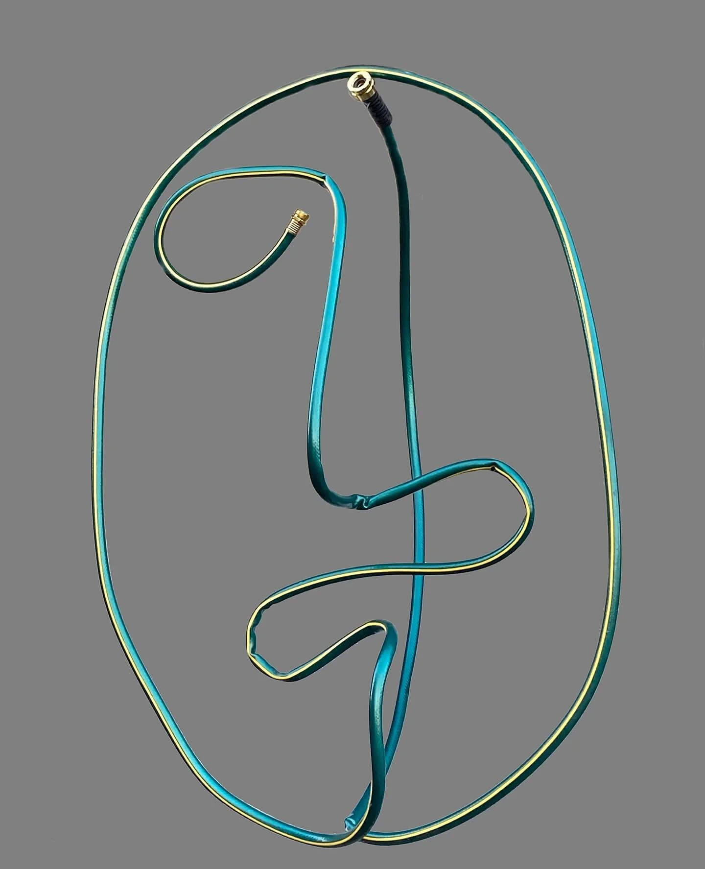 Closing Reception for Maryland Federation of Art&rsquo;s juried exhibition &ldquo;Transformed&rdquo; at the Circle Gallery in Annapolis this Saturday, November 22, 4-5 p.m. Last opportunity to see my piece &ldquo;Hose Face&rdquo; which has been sold!