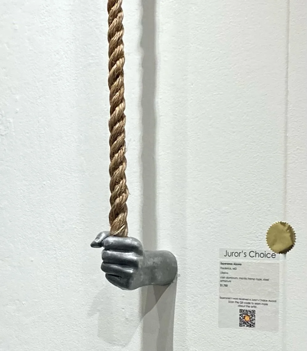 Honored to receive Juror&rsquo;s Choice Award from Megan Rook-Koepsel for &ldquo;Lifeline&rdquo;&mdash;cast aluminum and rope. Maryland Federation of Art Winter 2026 Members Show closing reception at the Circle Gallery in Annapolis. #mdfedart #washin
