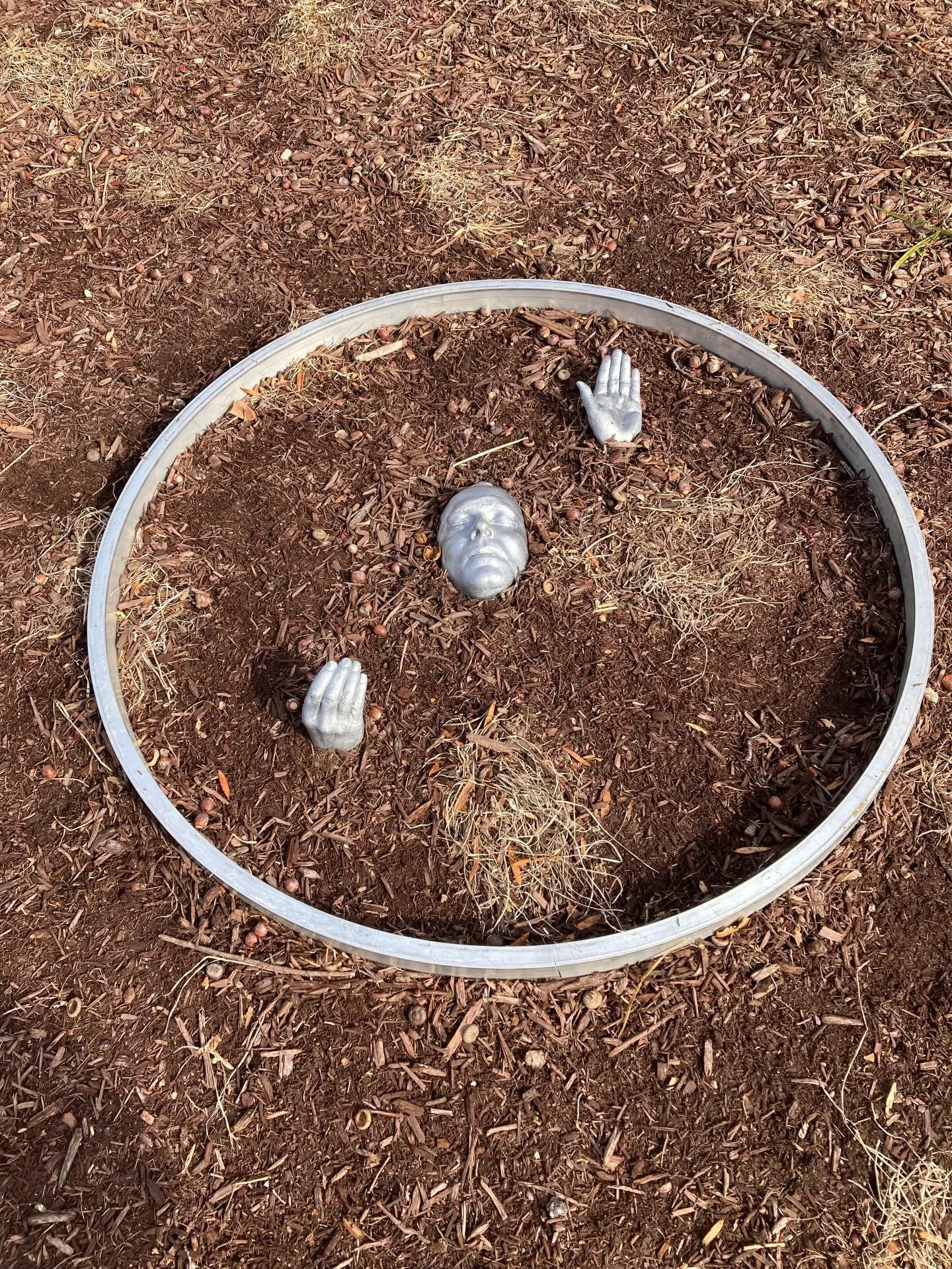 &ldquo;Complacency&rdquo; in aluminum installed at Glen Echo today! Critical Ground: Art and Environmental Justice, juried exhibition by the Washington Sculptors Group and Glen Echo Park Partnership for the Arts. Juror Tomora Wright Swann. February 2