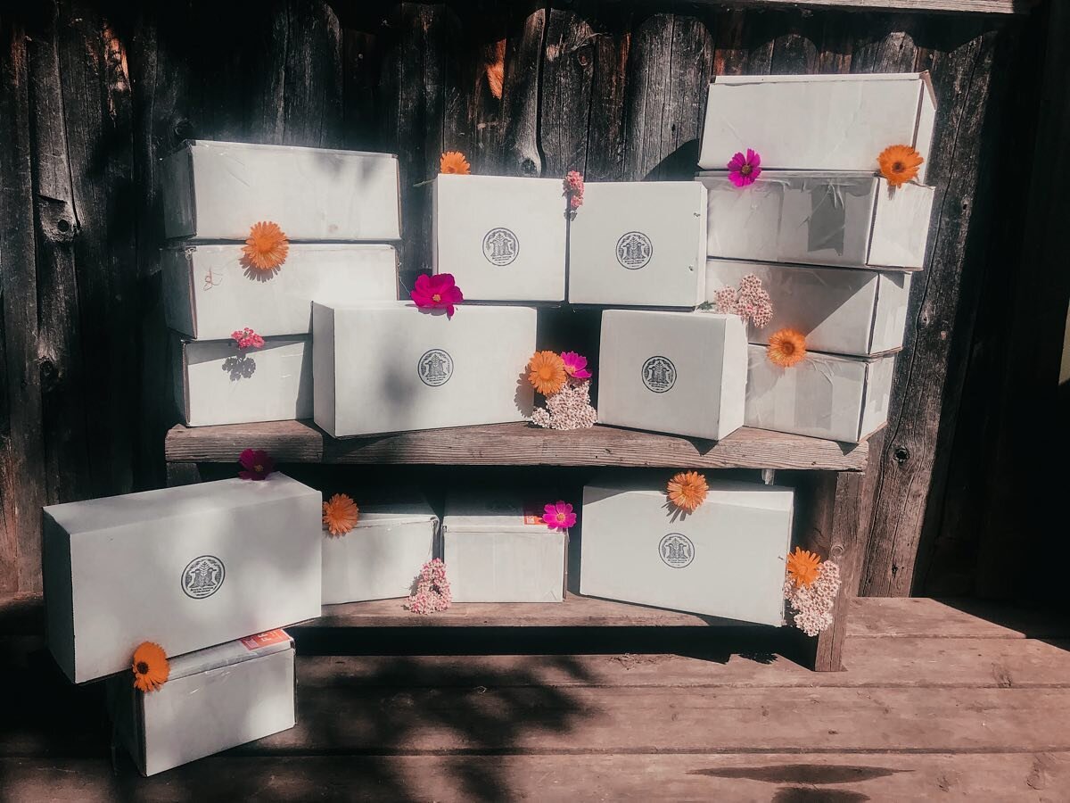 🌸 Summer CSH Boxes 🌸
Our quarterly subscription boxes have shipped out or are ready for local pick up!

We are overwhelmed with the amount of support we have received this quarter. We have crafted &amp; curated over 40 medicine boxes to people in o