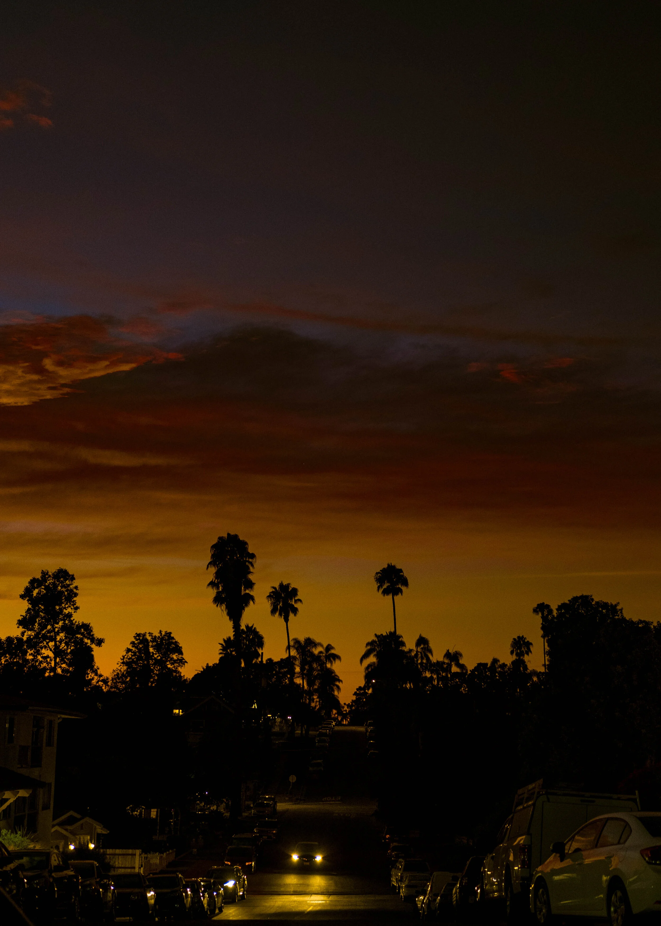 _DSF2477-2.jpg