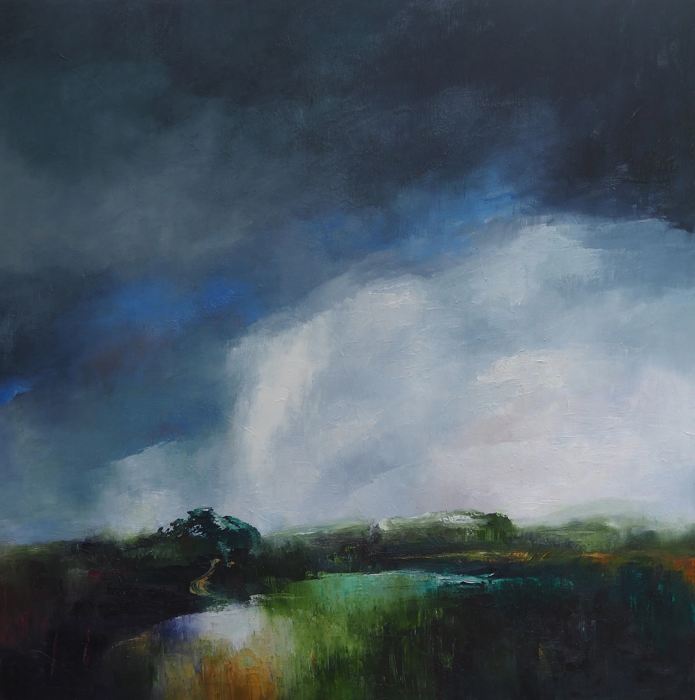 The Marsh 2