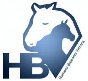 HBV October Committee Meeting Summary