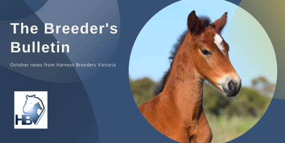October Breeders’ Bulletin