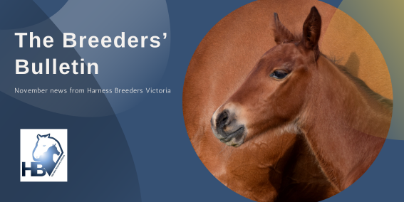 November Breeders’ Bulletin