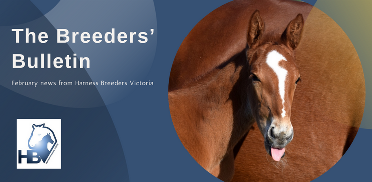 February Breeders’ Bulletin