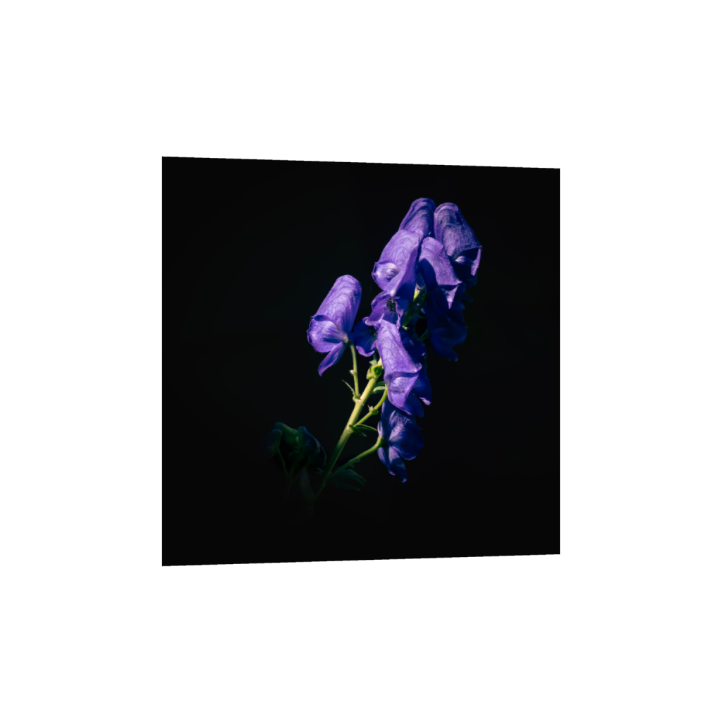 ptq_1_0_116_0_3404_3404_0_false_ffffff_0_0_.png