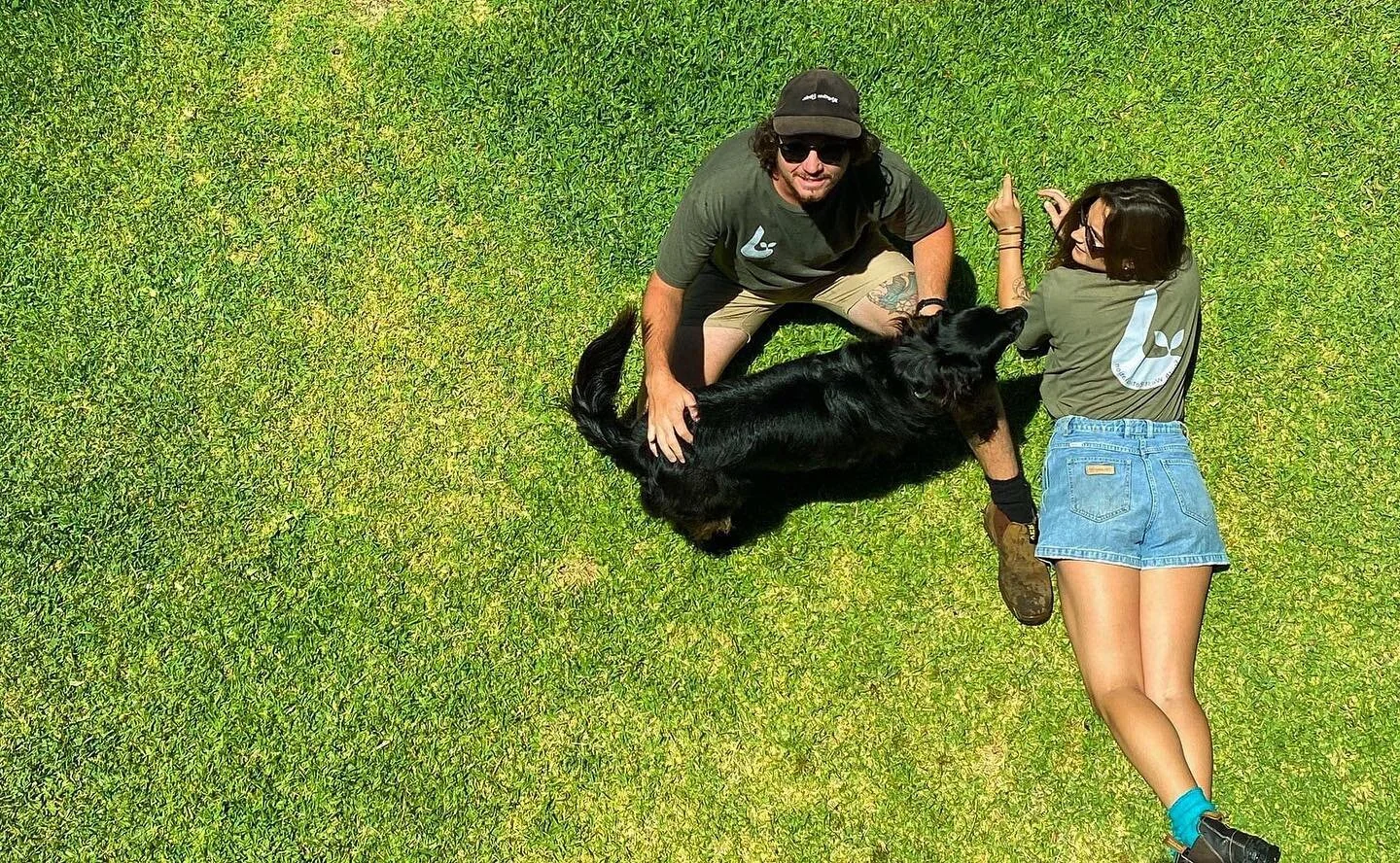 📣EXCITING ANNOUNCEMENT📣 we have just gone live on our new website, go check us out! 🎉💕https://southwestreticulation.com #reticulation #newwebsite #supportsmallbusiness #supportlocal @southwestreticulation 🎉