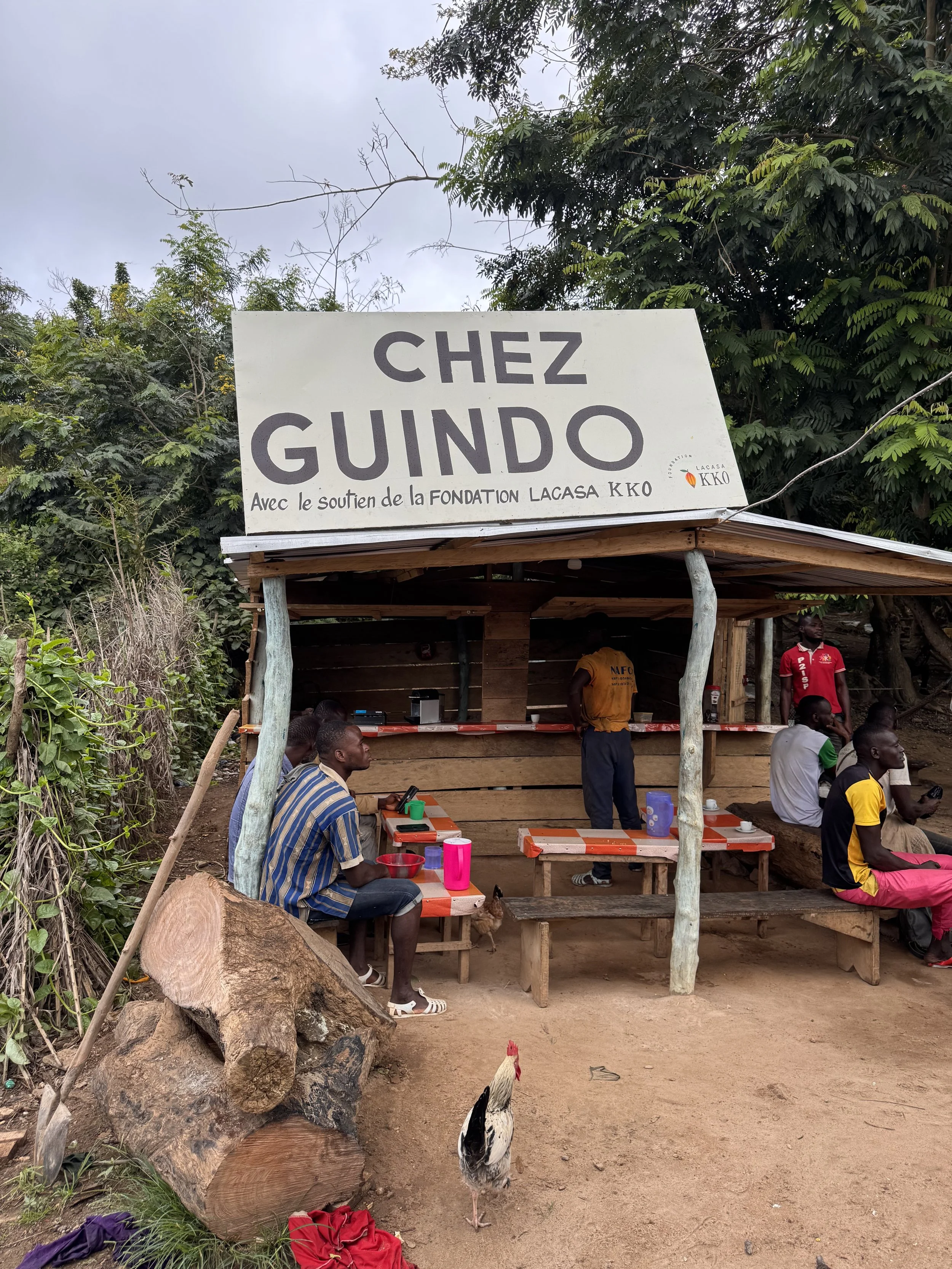 Tché-Wa Program Update #1