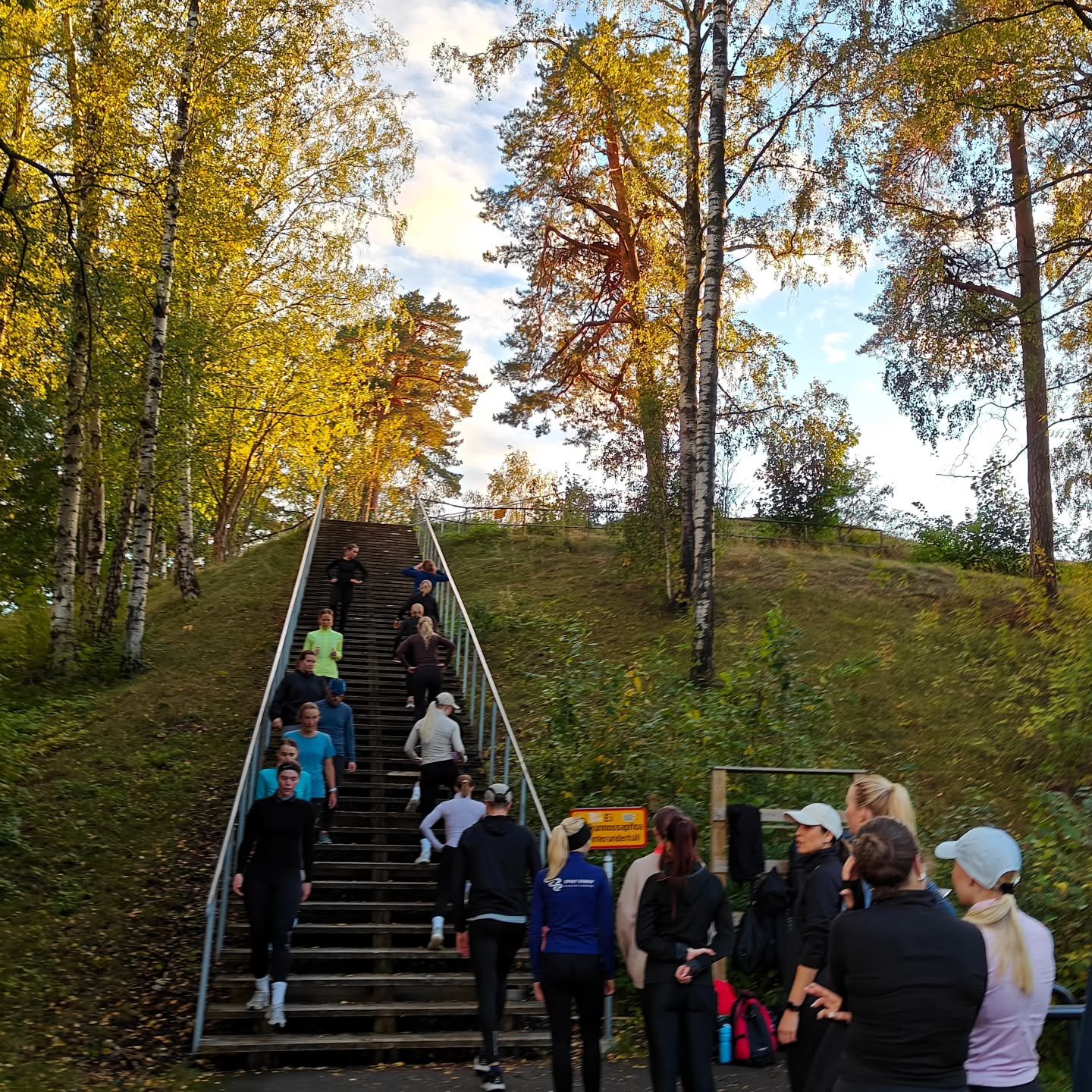 🤩🍂 Avoimet ovet treenipäivä ArkiWellness porrastreeneihin w/ @helsinkicityrun
📍 Töölön Kuntoportaat
(Mäntymäentie 1, 00250 Helsinki)
▪️ tiistaina 28.10.2025 klo.19.00-19.55
VARAA paikka (0€) 👉 @arkiwellnes