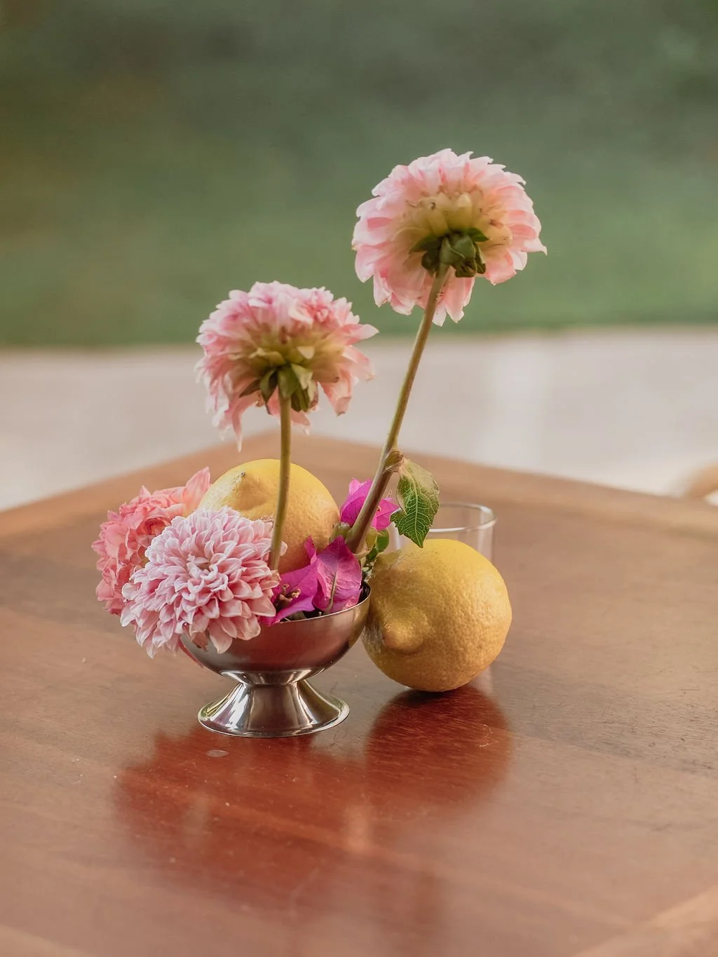 capri-blossom-julia's-birthday-DSC09088.jpg
