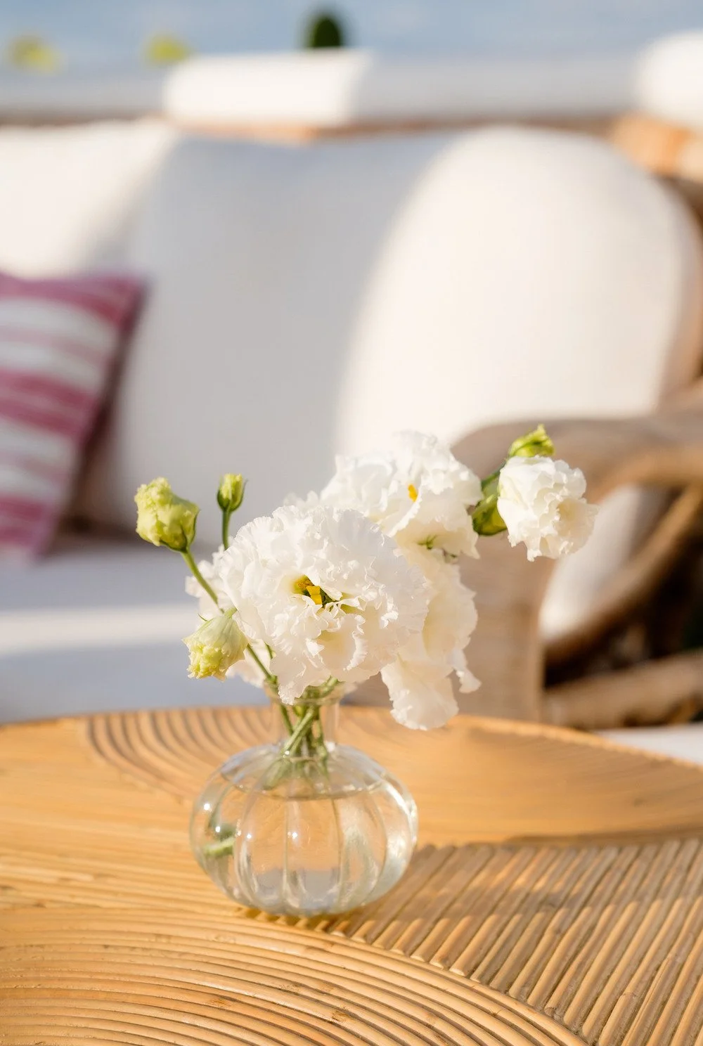 Capri-Moments-CST03617.jpg