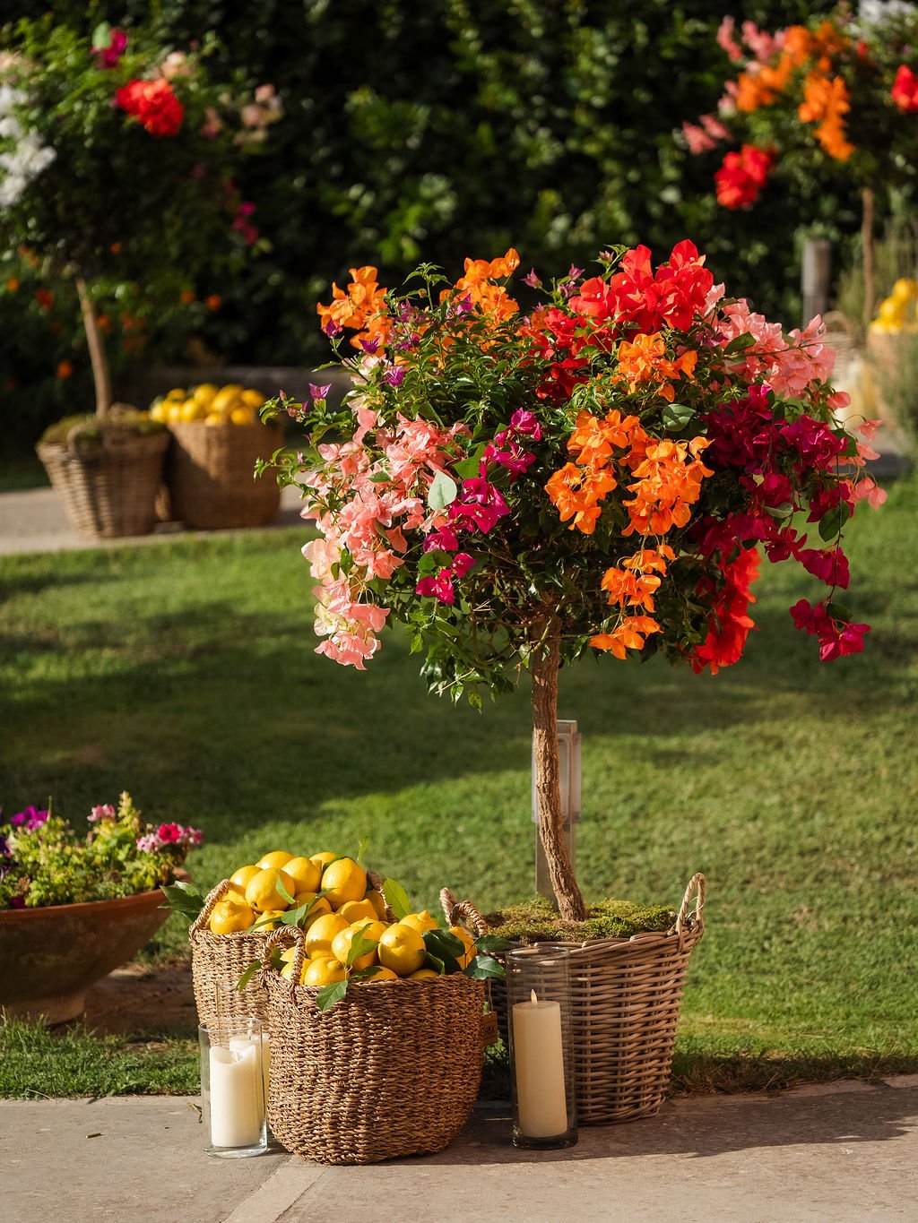 capri-blossom-julia's-birthday-DSC08888.jpg