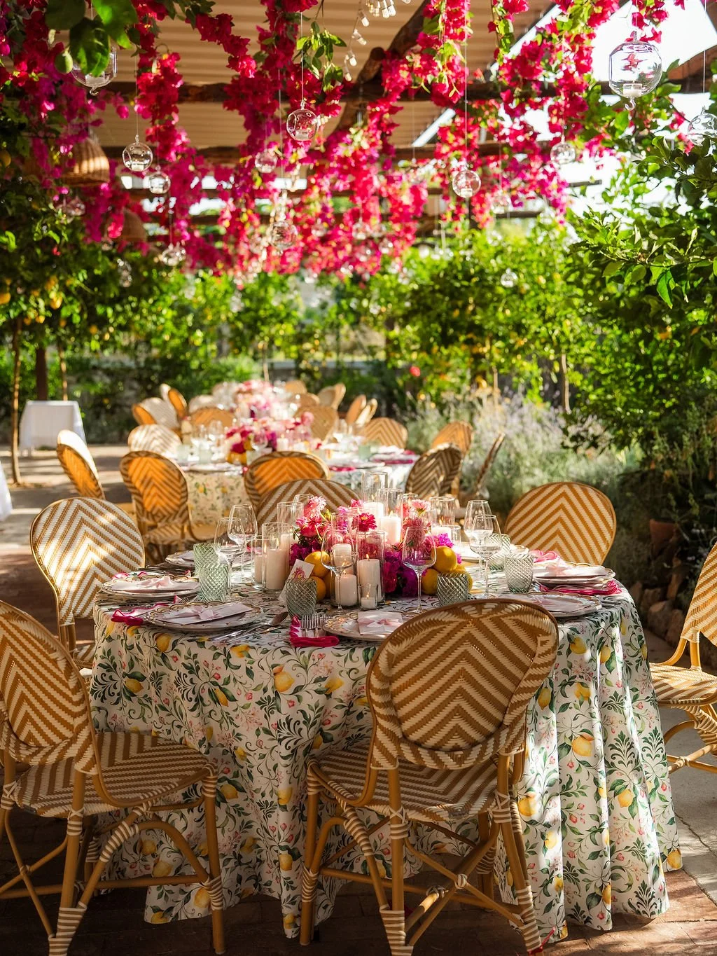 capri-blossom-julia's-birthday-DSC08897.jpg