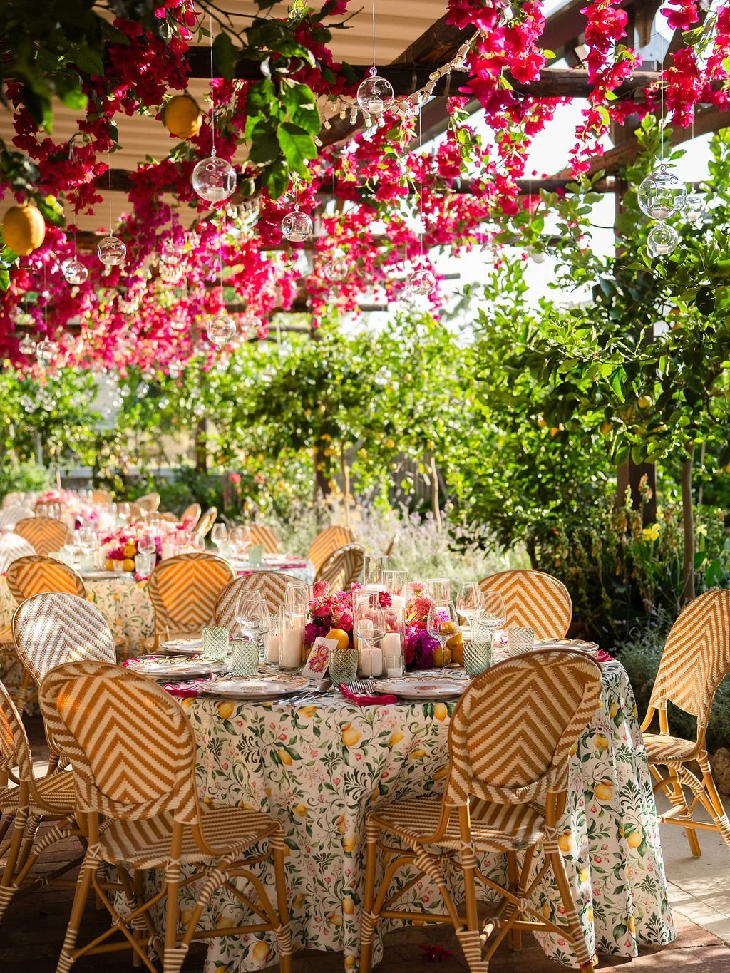 capri-blossom-julia's-birthday-DSC08775.jpg