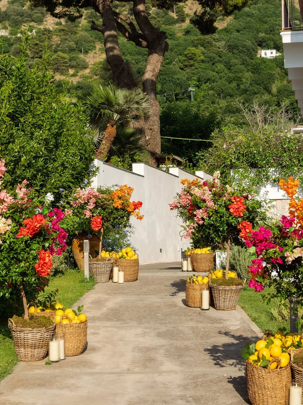 capri-blossom-julia's-birthday-DSC08855.jpg