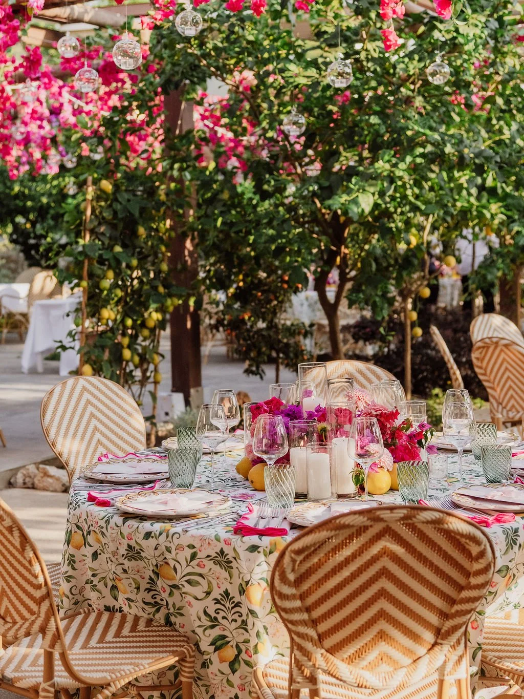 capri-blossom-julia's-birthday-DSC09221.jpg