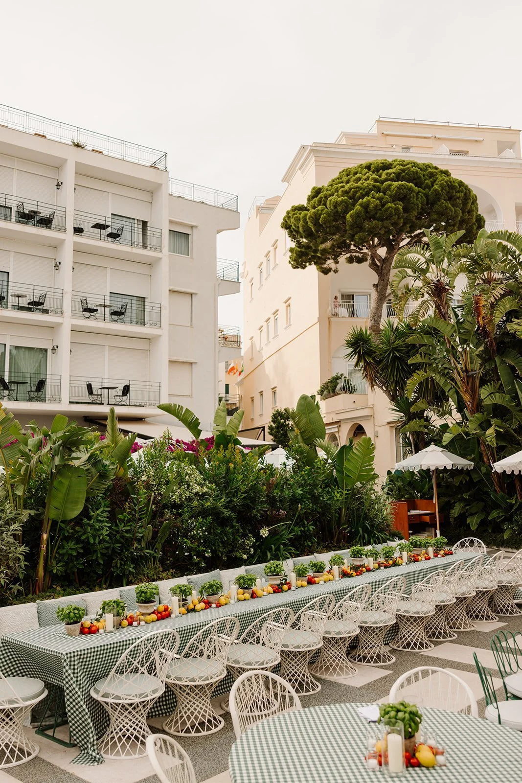 capri-blossomDay 1 -6_websize.jpg
