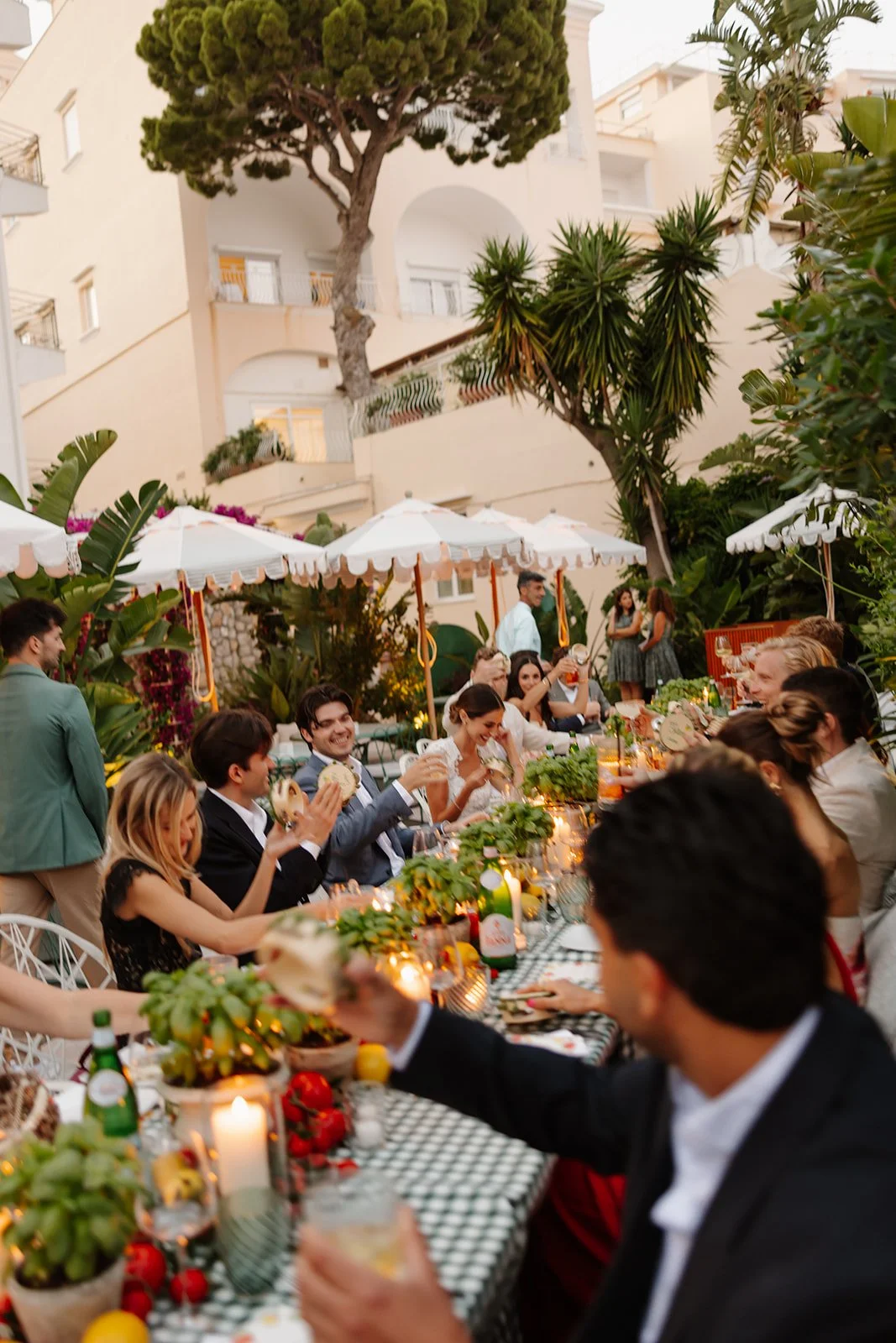capri-blossomDay 1 -174_websize.jpg