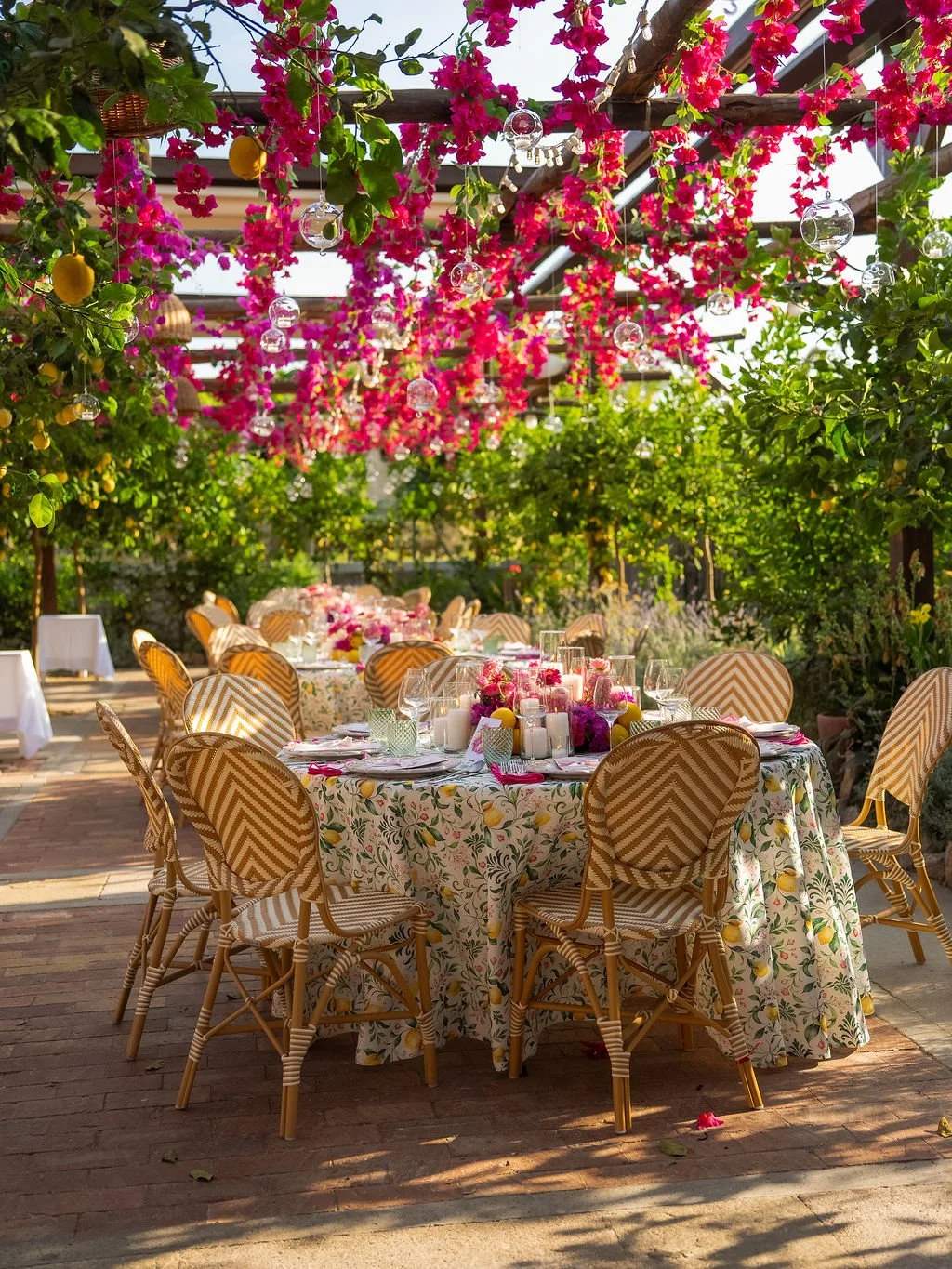 capri-blossom-julia's-birthday-DSC08908.jpg