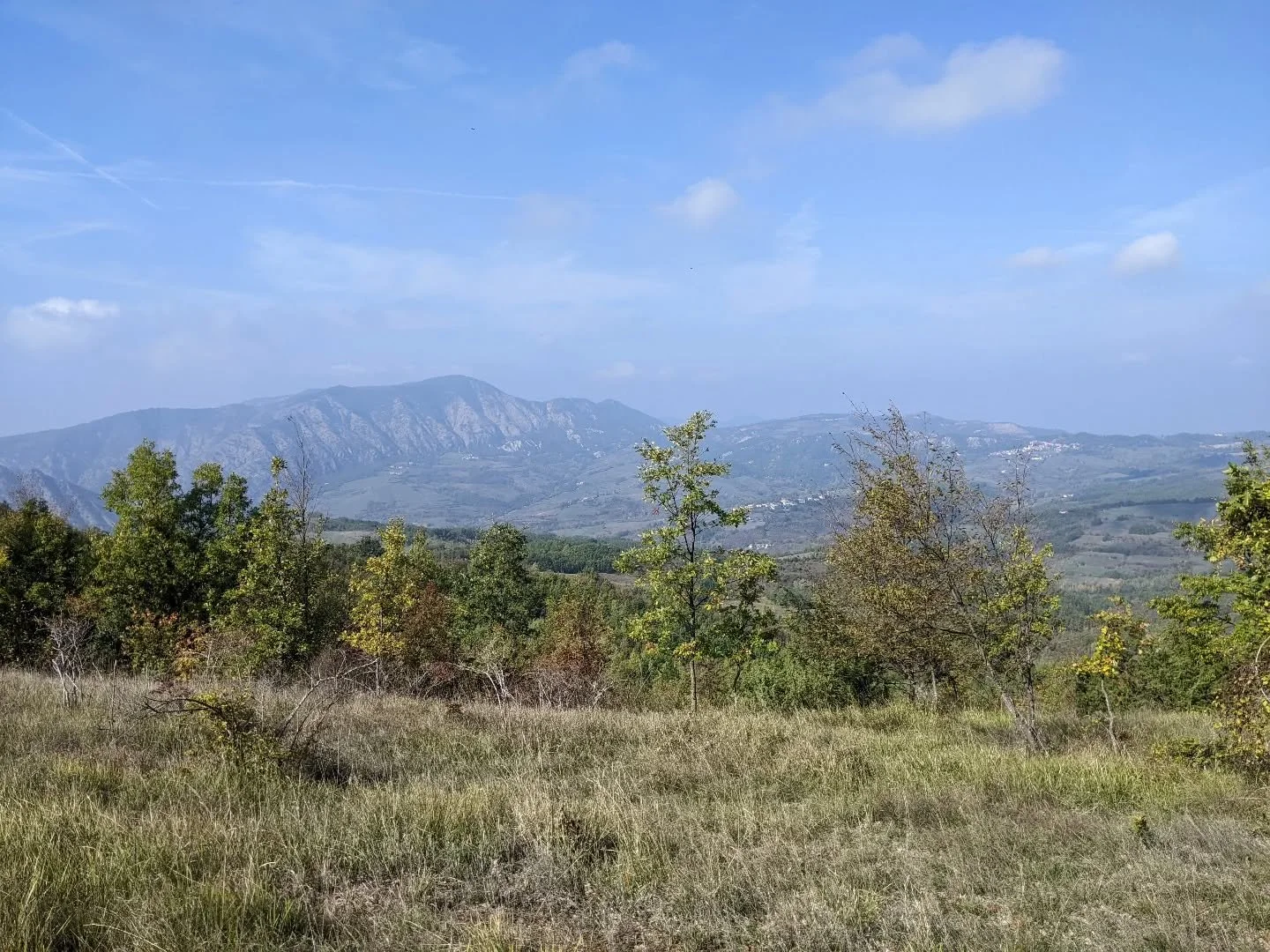 One of the sweetest joys of running Sogni D'oro is reading the messages guests leave behind. 

Sometimes it's about the view. 
Sometimes about the company. 
Often it's simply:
"You won't know how much you need this, till you stay." 

If you