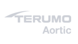 Terumo Aortic