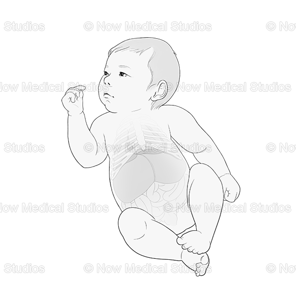 Set of newborn baby shower birthday. Hand drawing - Stock Illustration  [66966346] - PIXTA