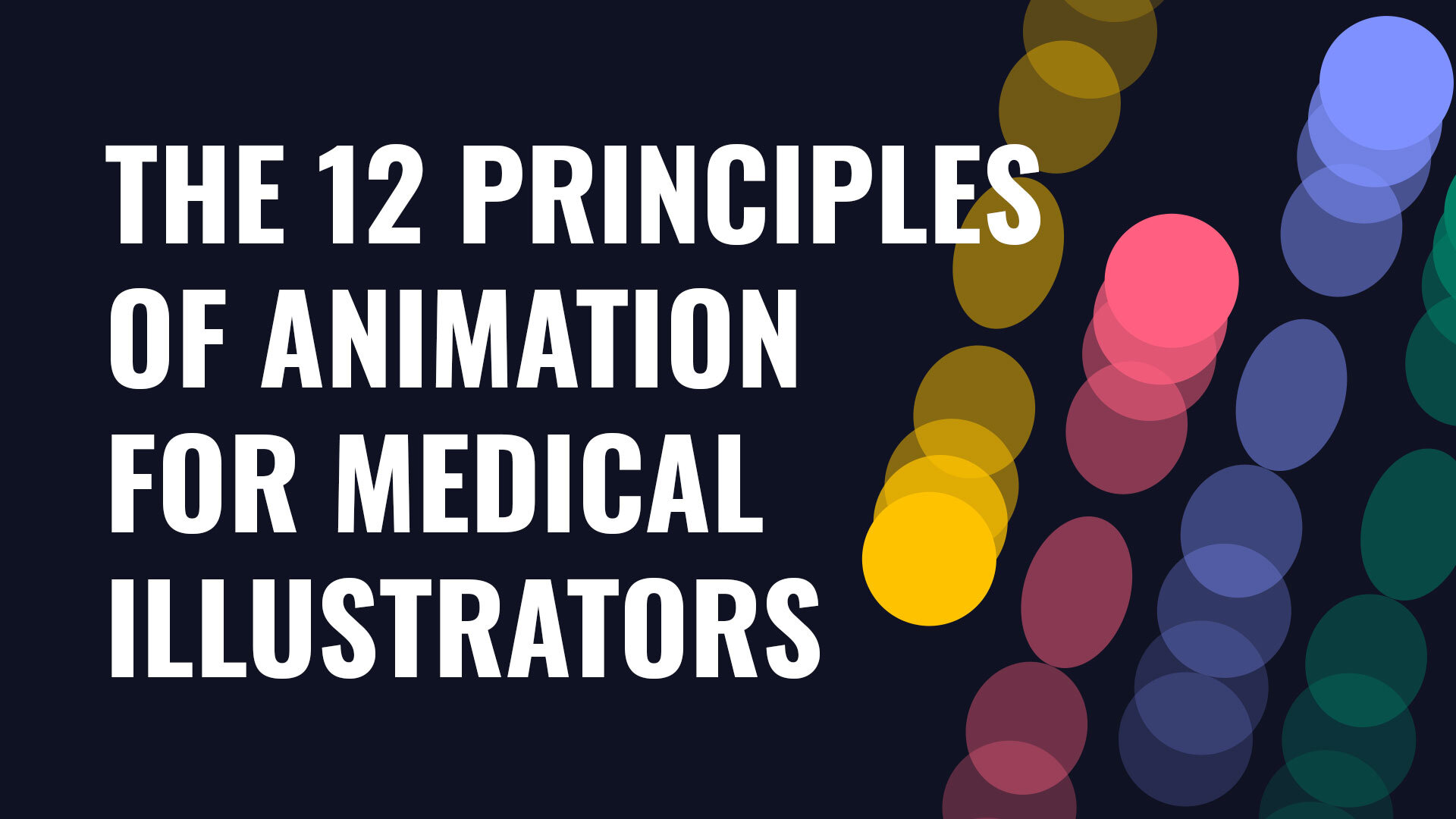 The 12 Principles of Animation for Medical Illustrators and Animators — Now  Medical Studios