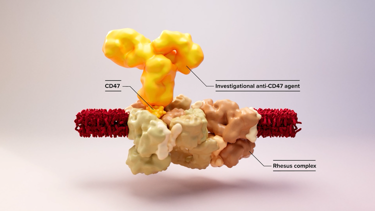 3D Medical Animation | Scientific Storytelling for Pharmaceutical ...