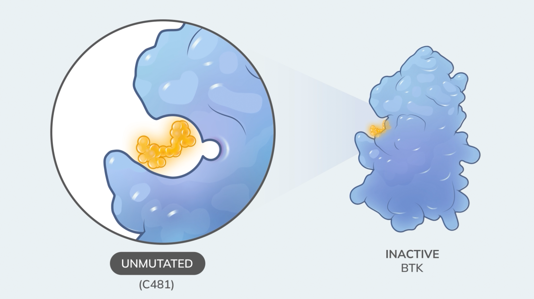 3D Medical Animation: CLL Treatment